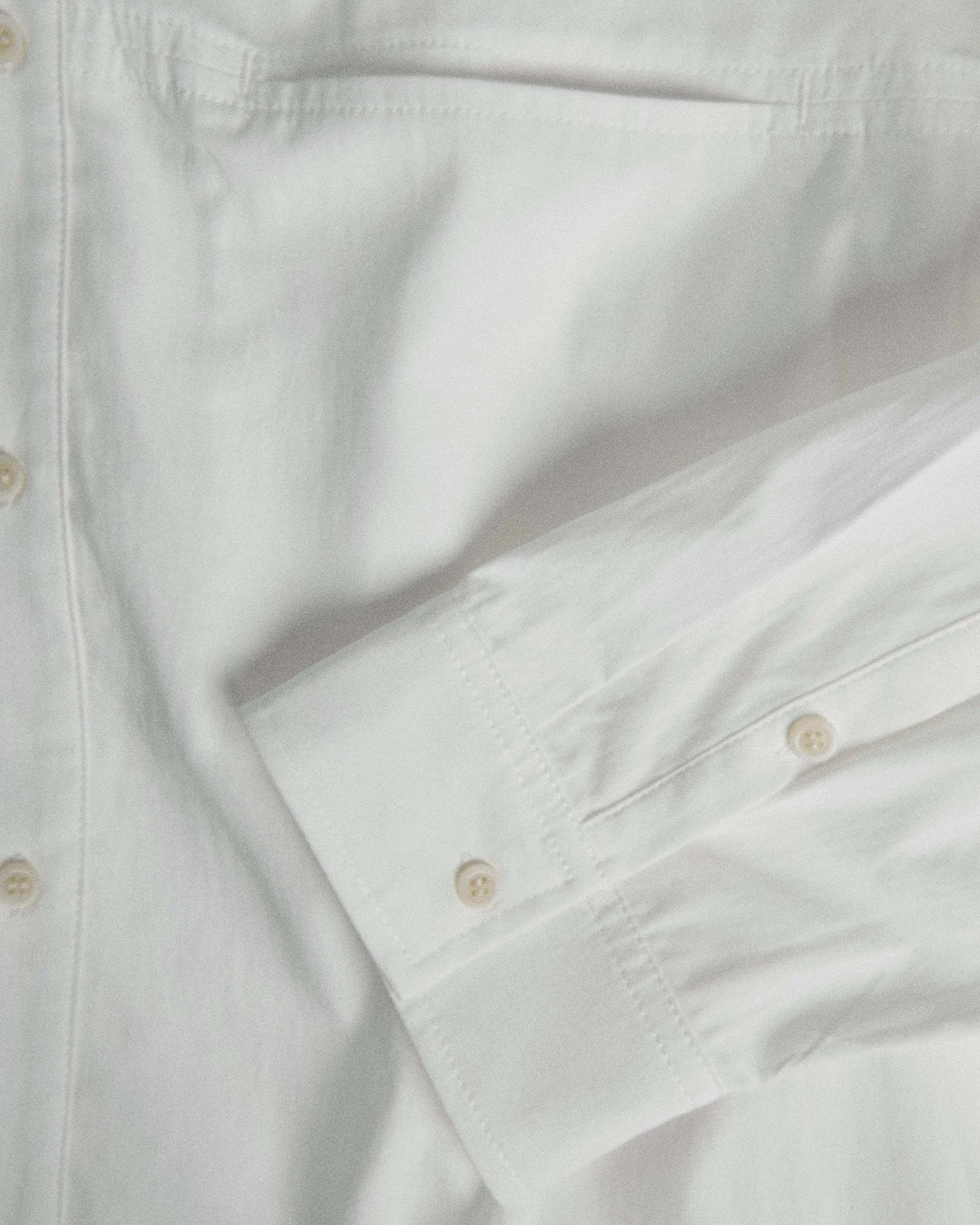 011 - Curator Basic Shirt - Image 11