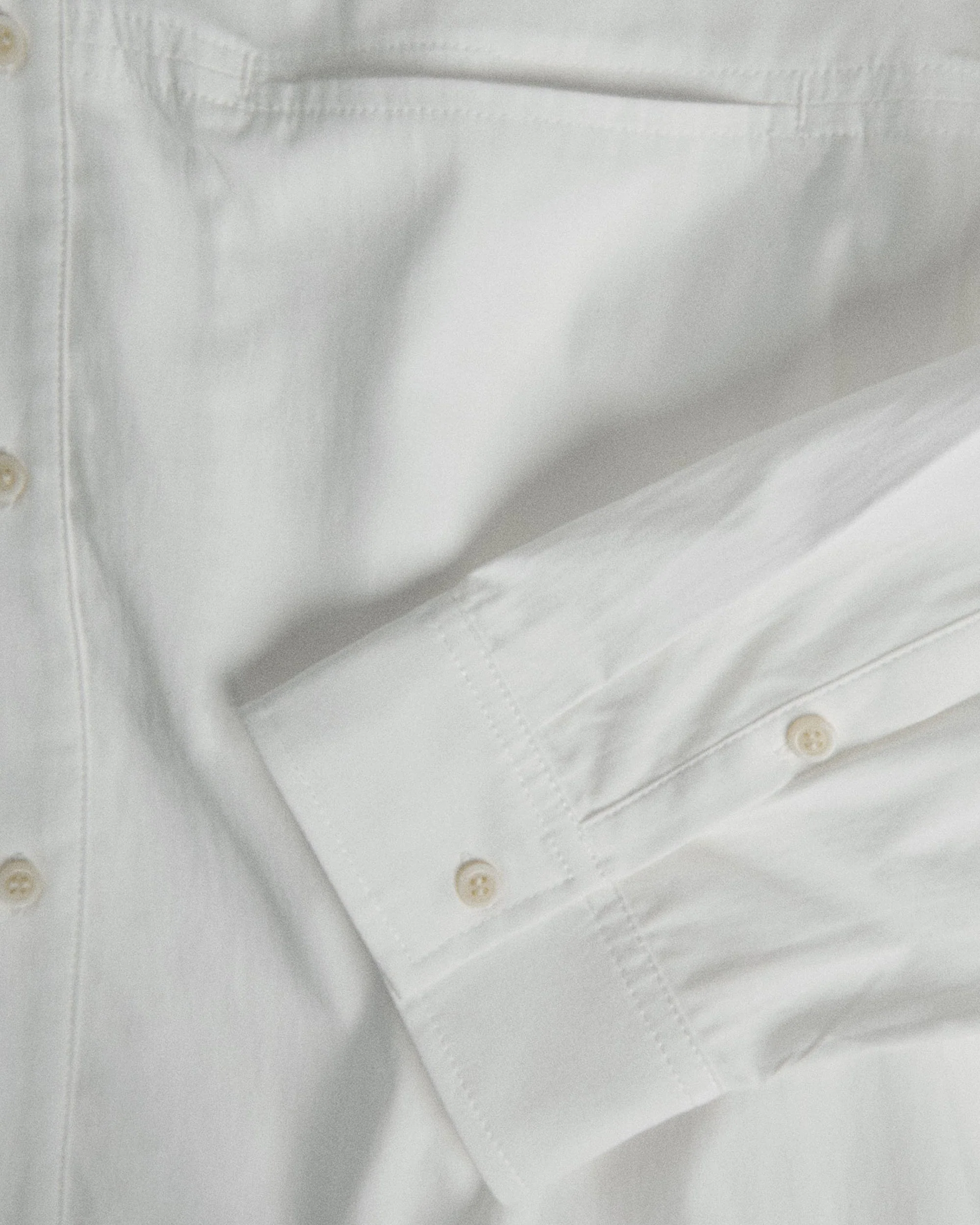 011 - Curator Basic Shirt - Image 26