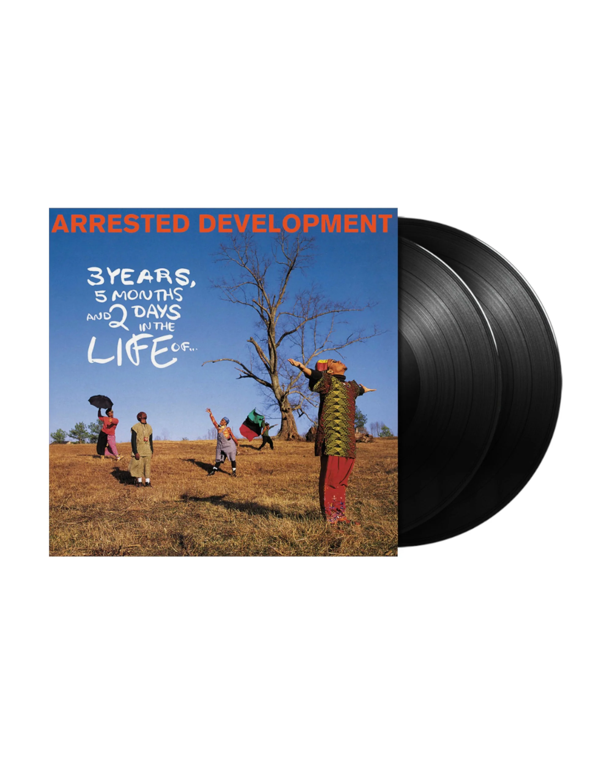 3 Years, 5 Months & 2 Days In The Life Of... 2LP