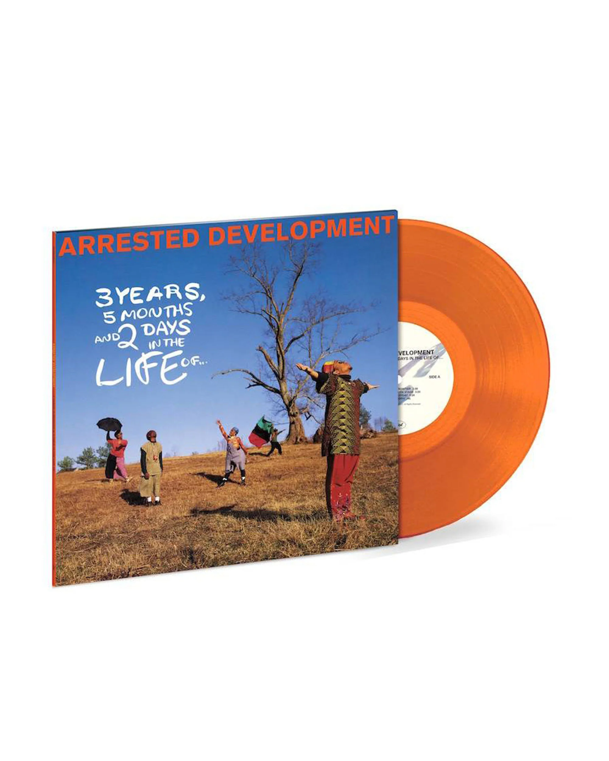 3 Years, 5 Months & 2 Days in the Life Of... Limited Edition 2LP