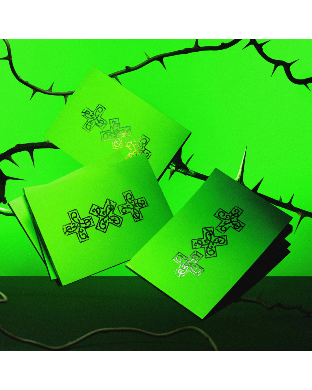 7TH YEAR: A Moment of Stillness in the Thorns THORN Ver.