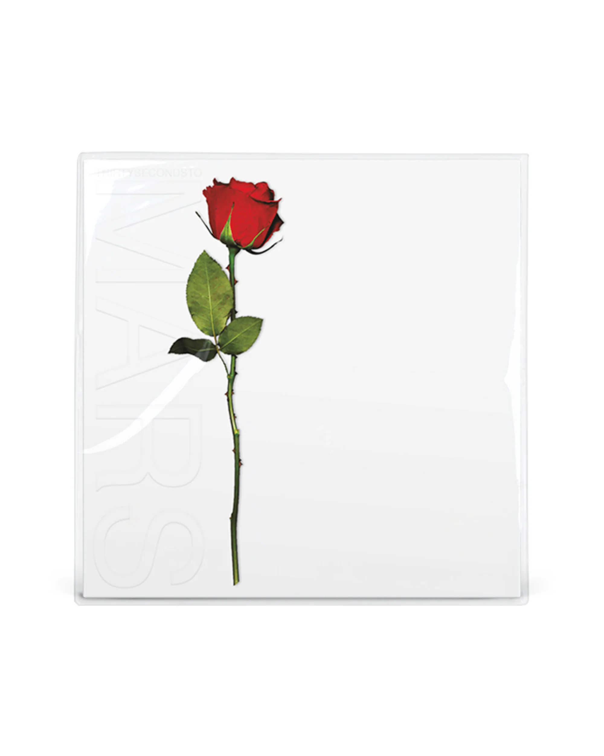 A Beautiful Lie (20 Year Anniversary) Deluxe Double Vinyl 2LP - Image 3