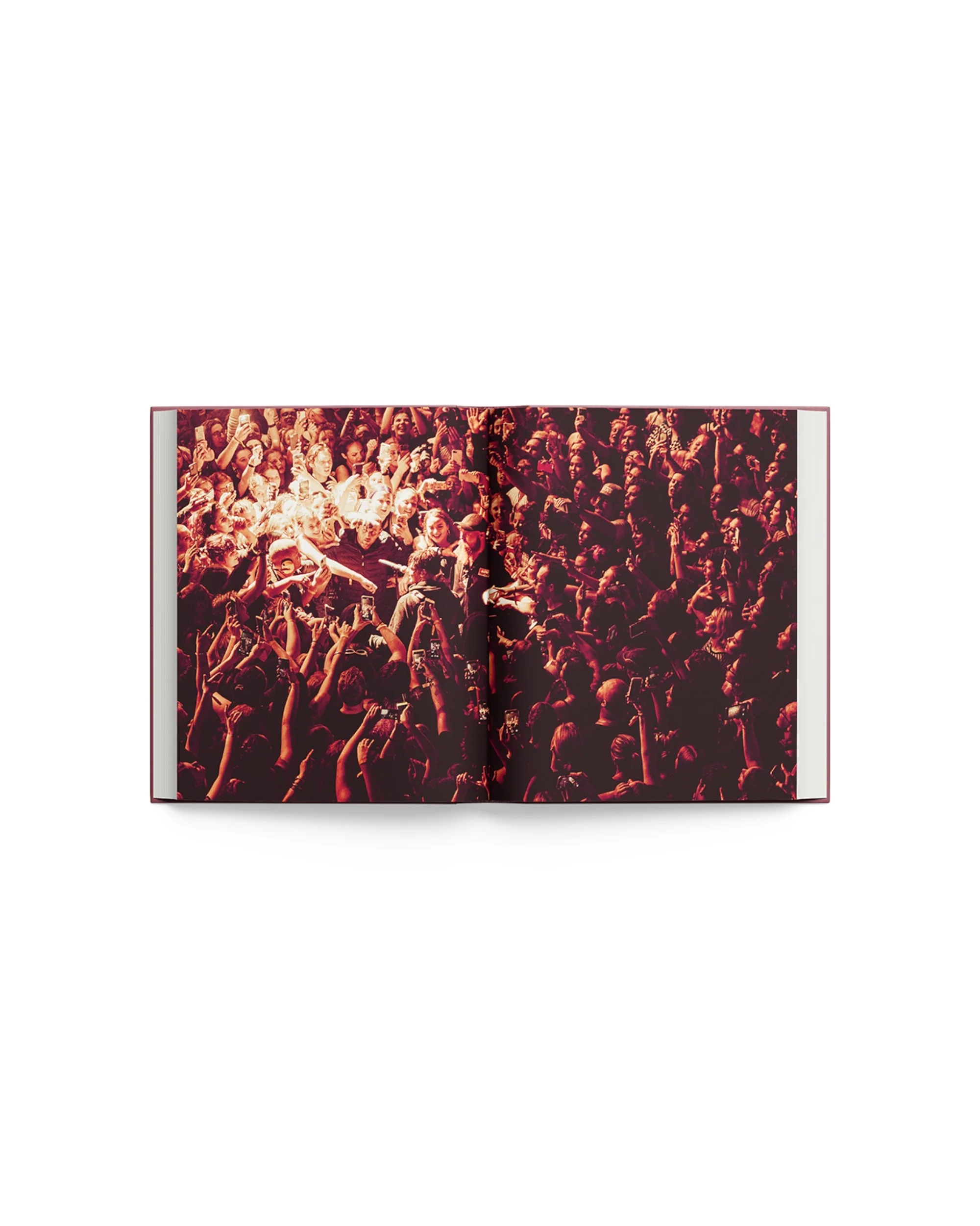 All My Friends Have Deserted Book - Image 3