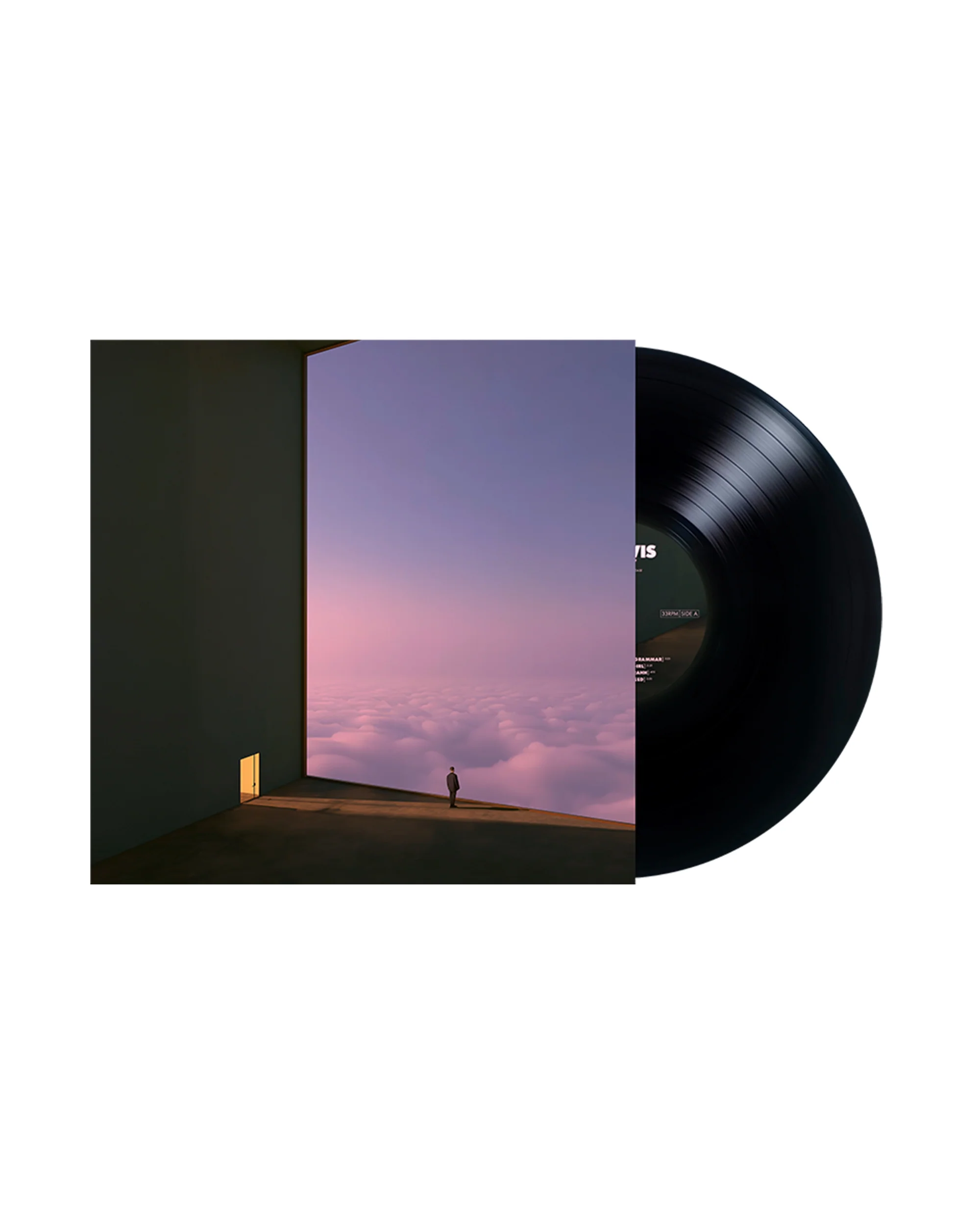Anemoia Black Vinyl