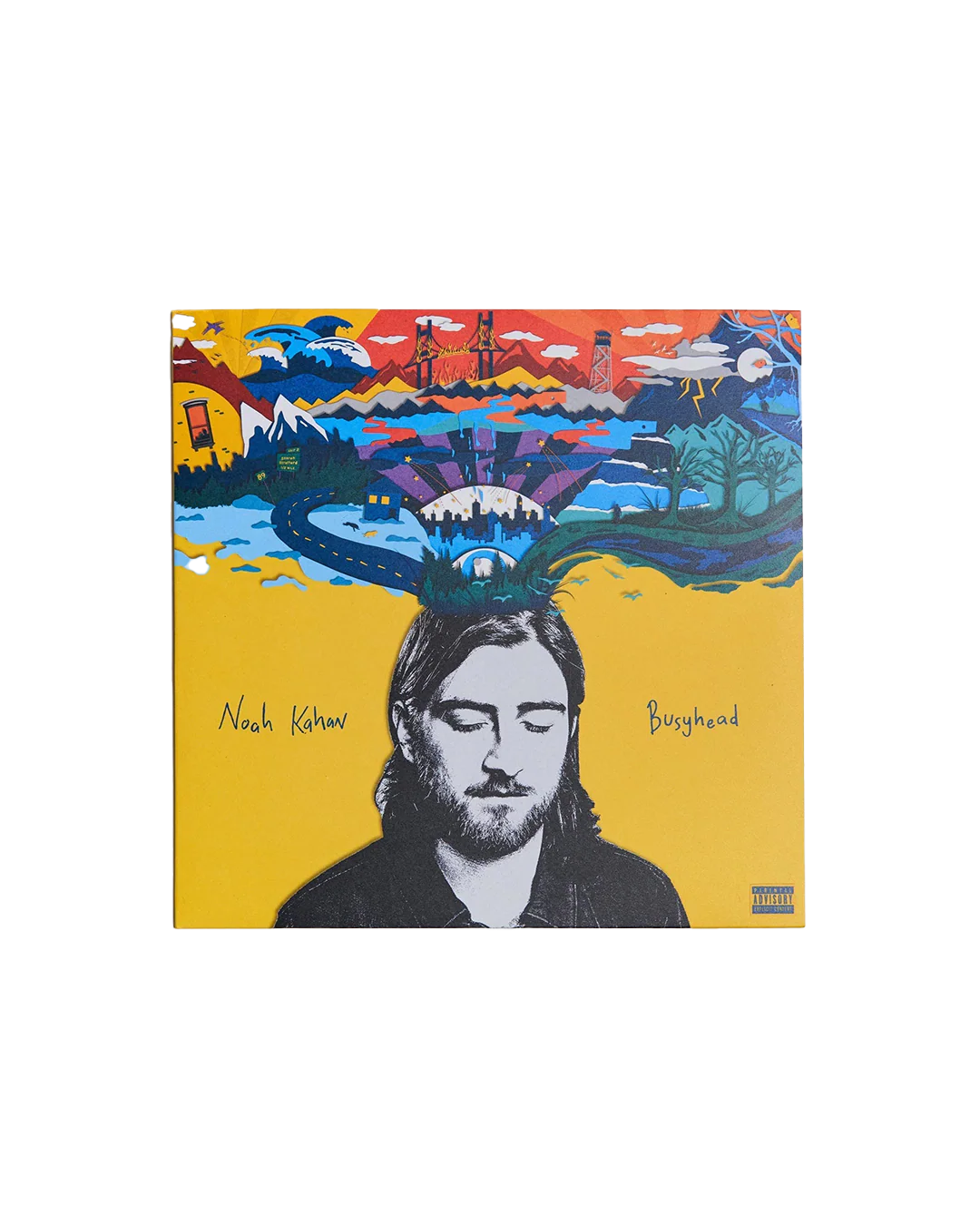 Busyhead Vinyl (Yellow) - Image 6
