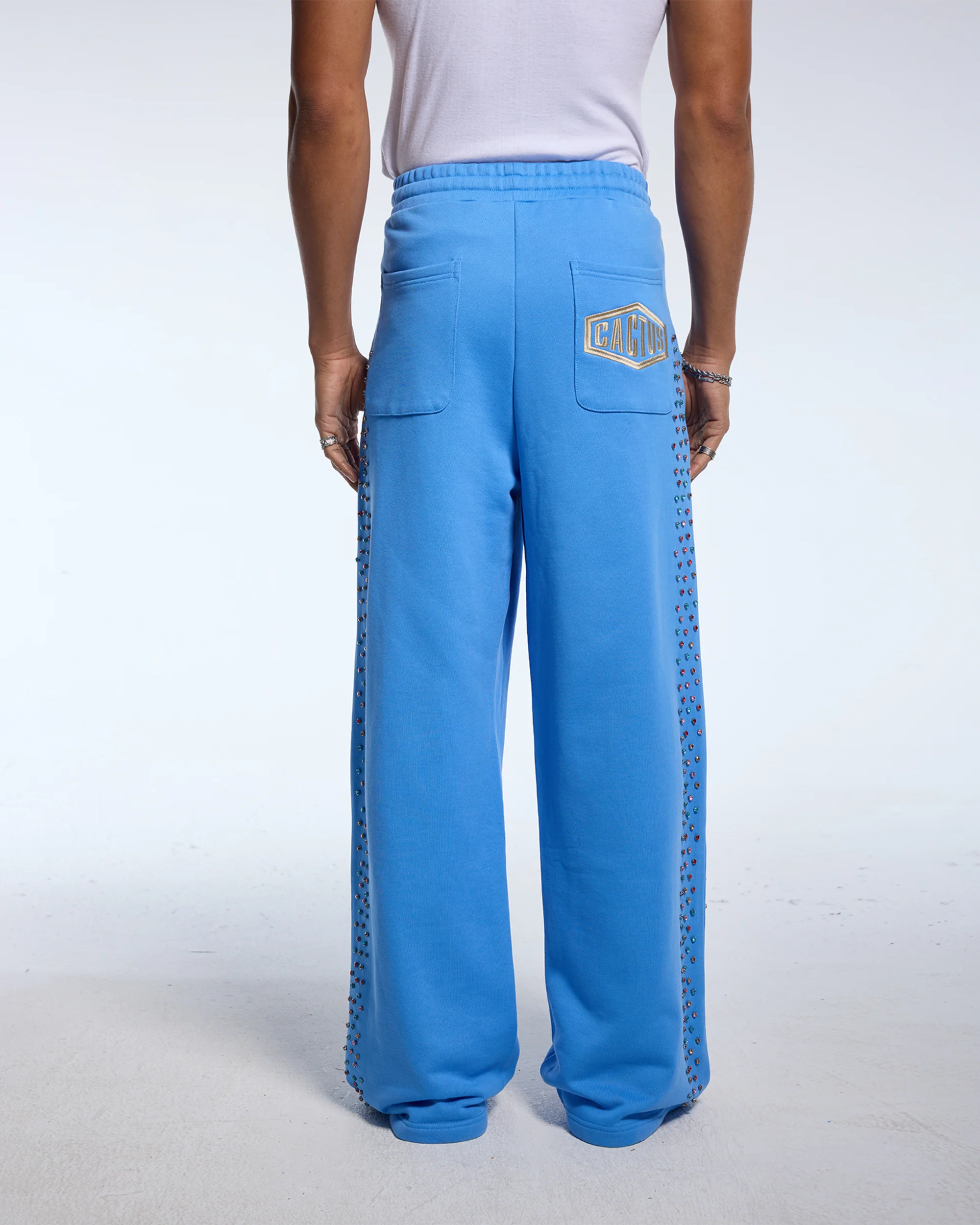 CRYSTAL CACTUS SWEATS - BABY BLUE - Image 4