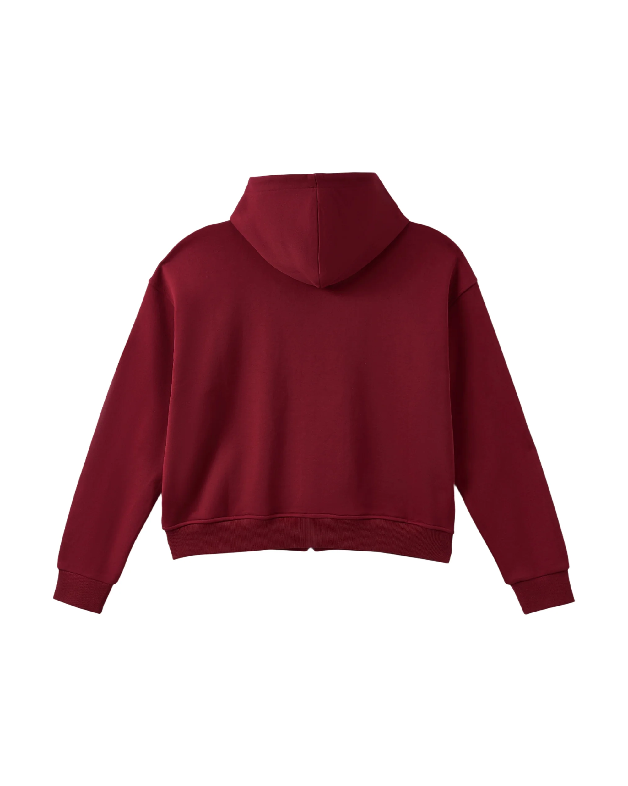 CRYSTAL CACTUS ZIP HOODIE - MAROON - Image 3