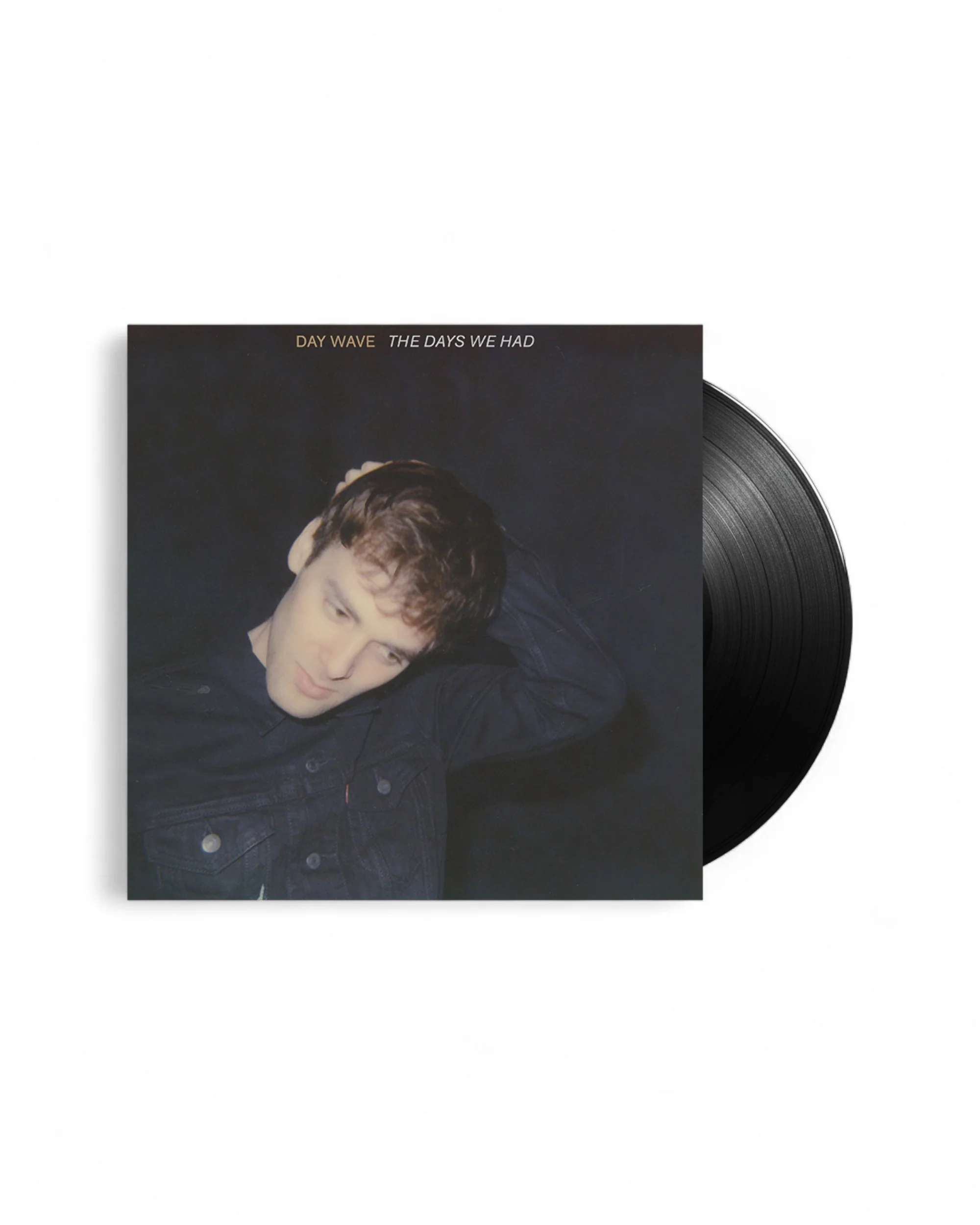 Day Wave - The Days We Had - LP