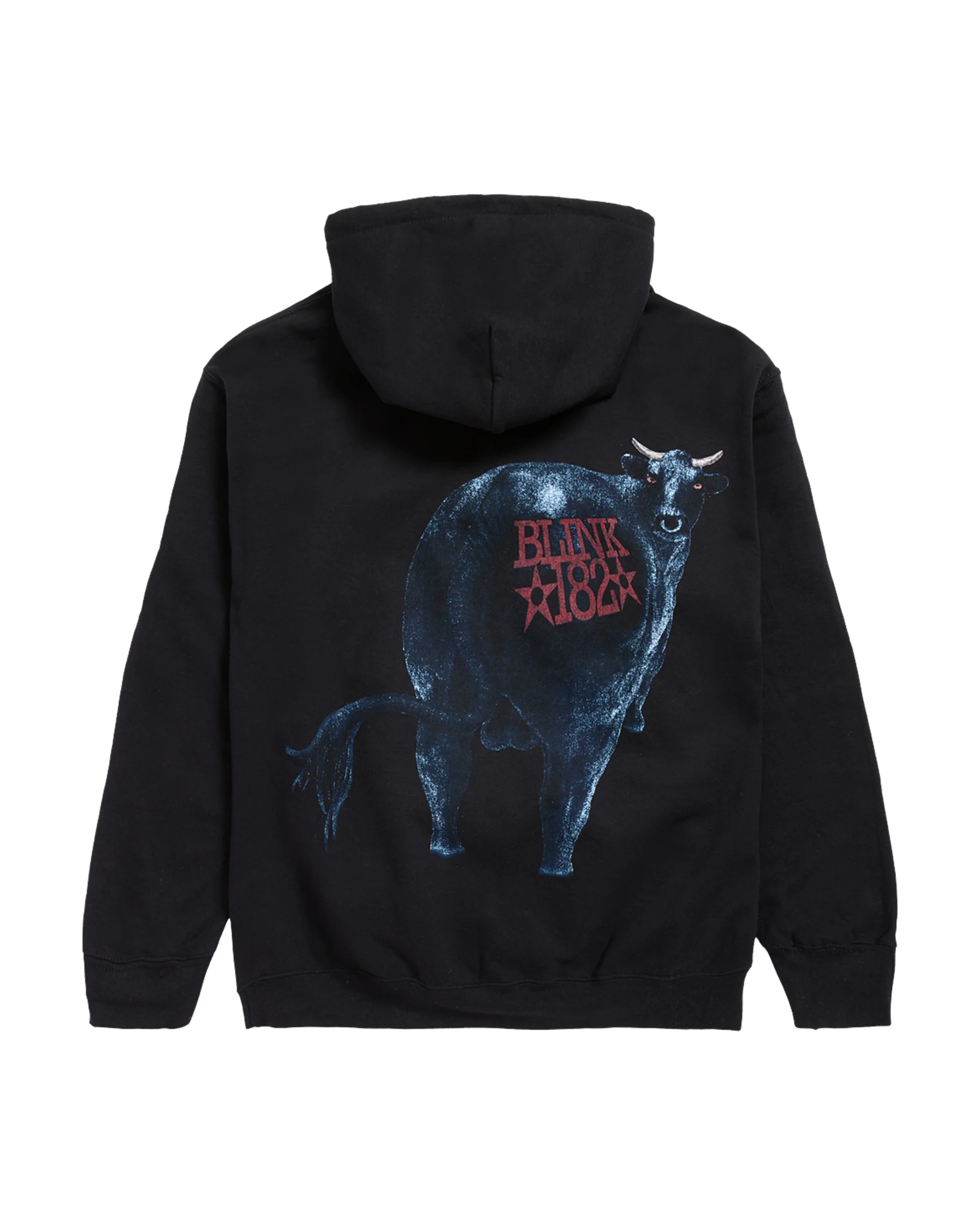 Dude Ranch Hoodie - Image 2