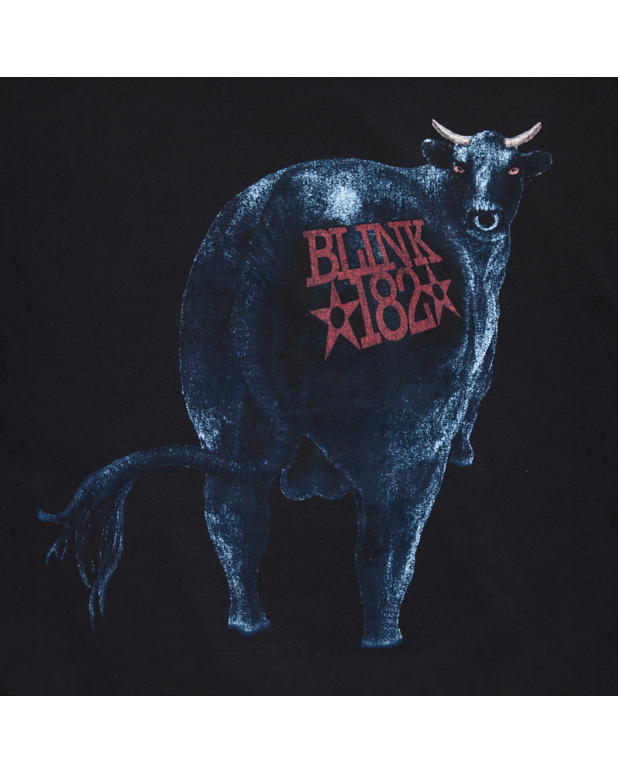 Dude Ranch Hoodie - Image 4