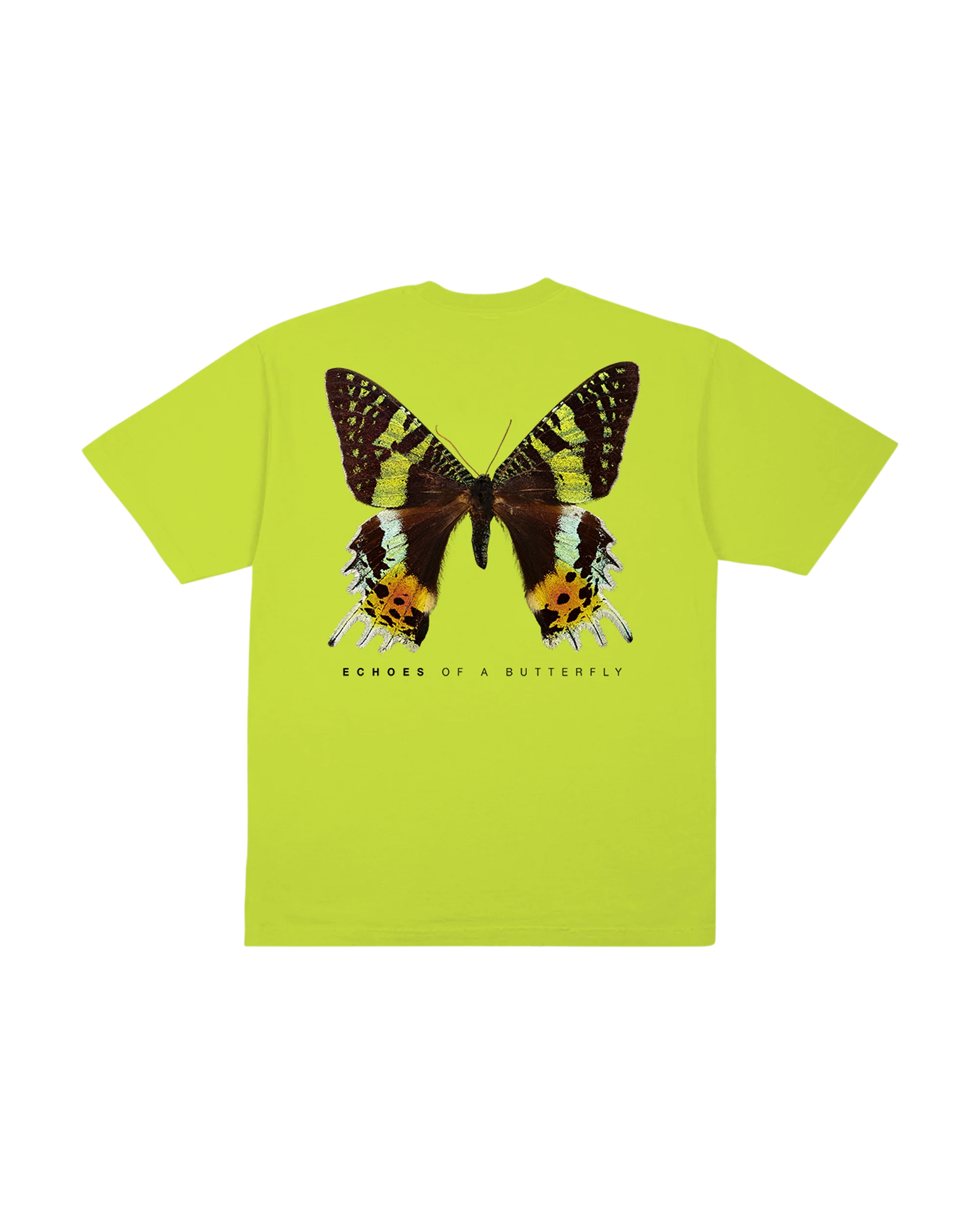 Echo Tee - Image 2
