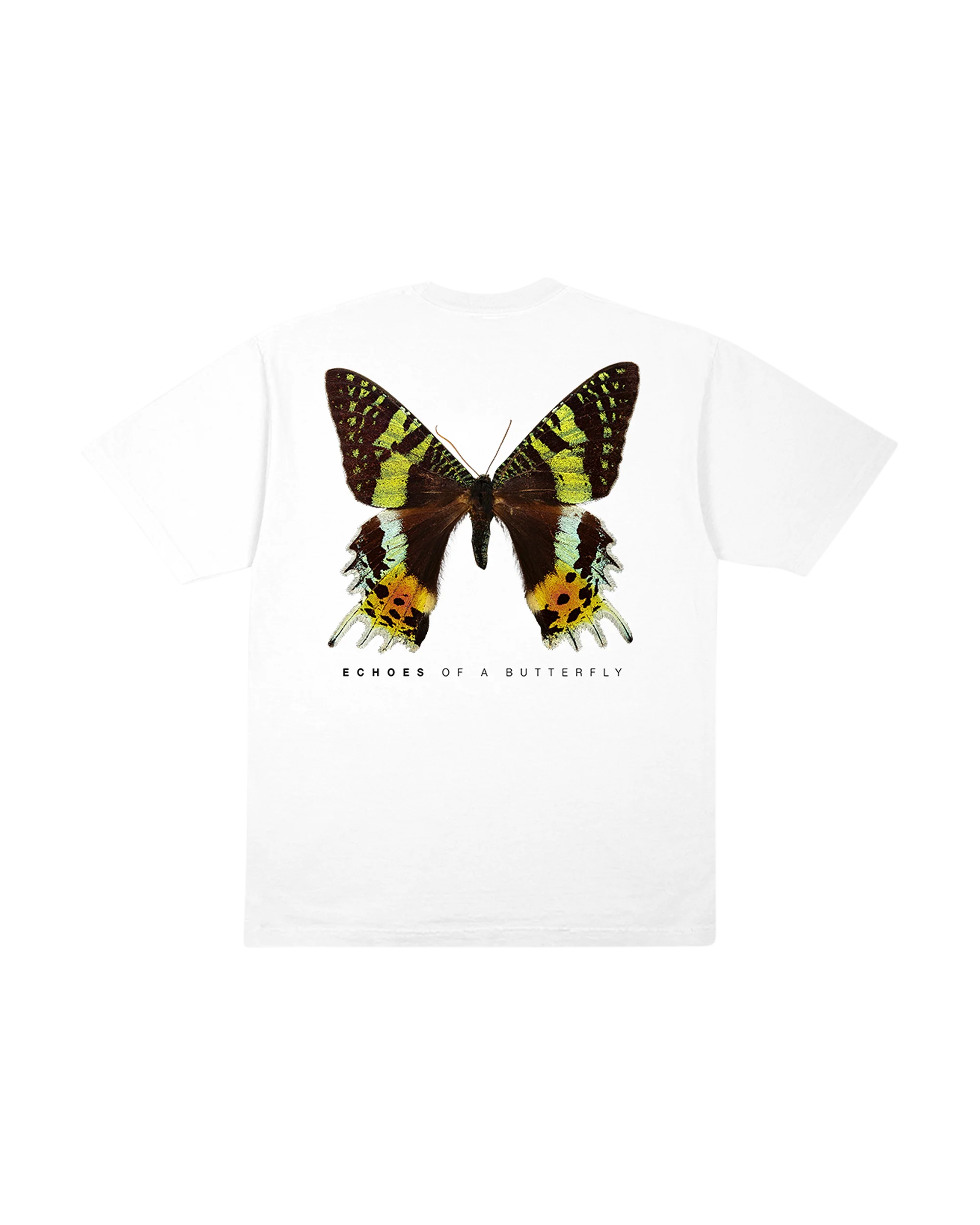 Echo Tee - White - Image 2