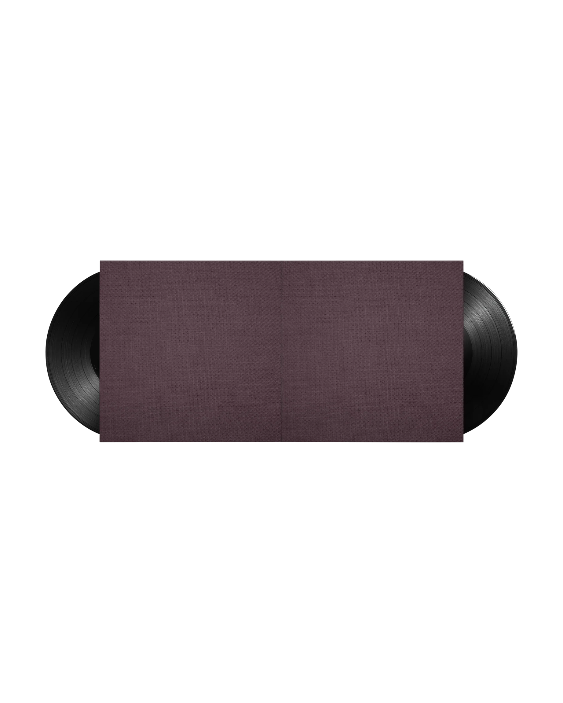 Eminem - Recovery by Damien Hirst Gallery Vinyl - Image 3