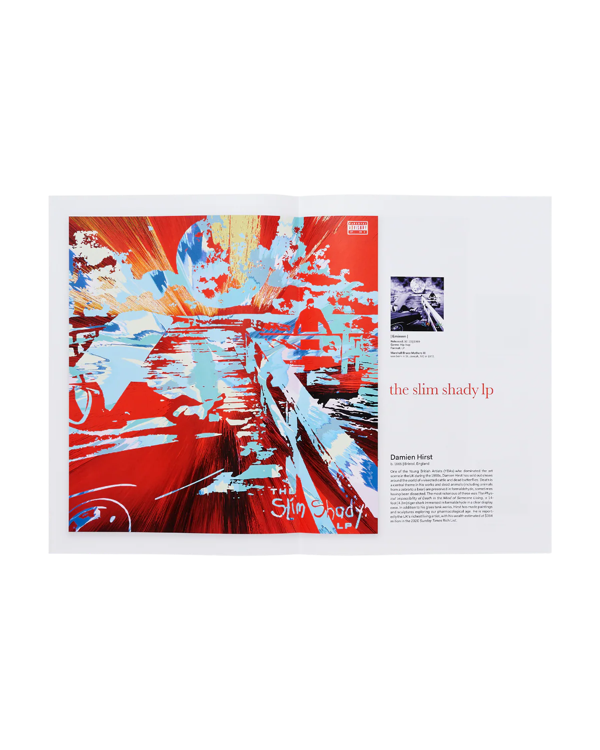 Eminem - Recovery by Damien Hirst Gallery Vinyl - Image 9
