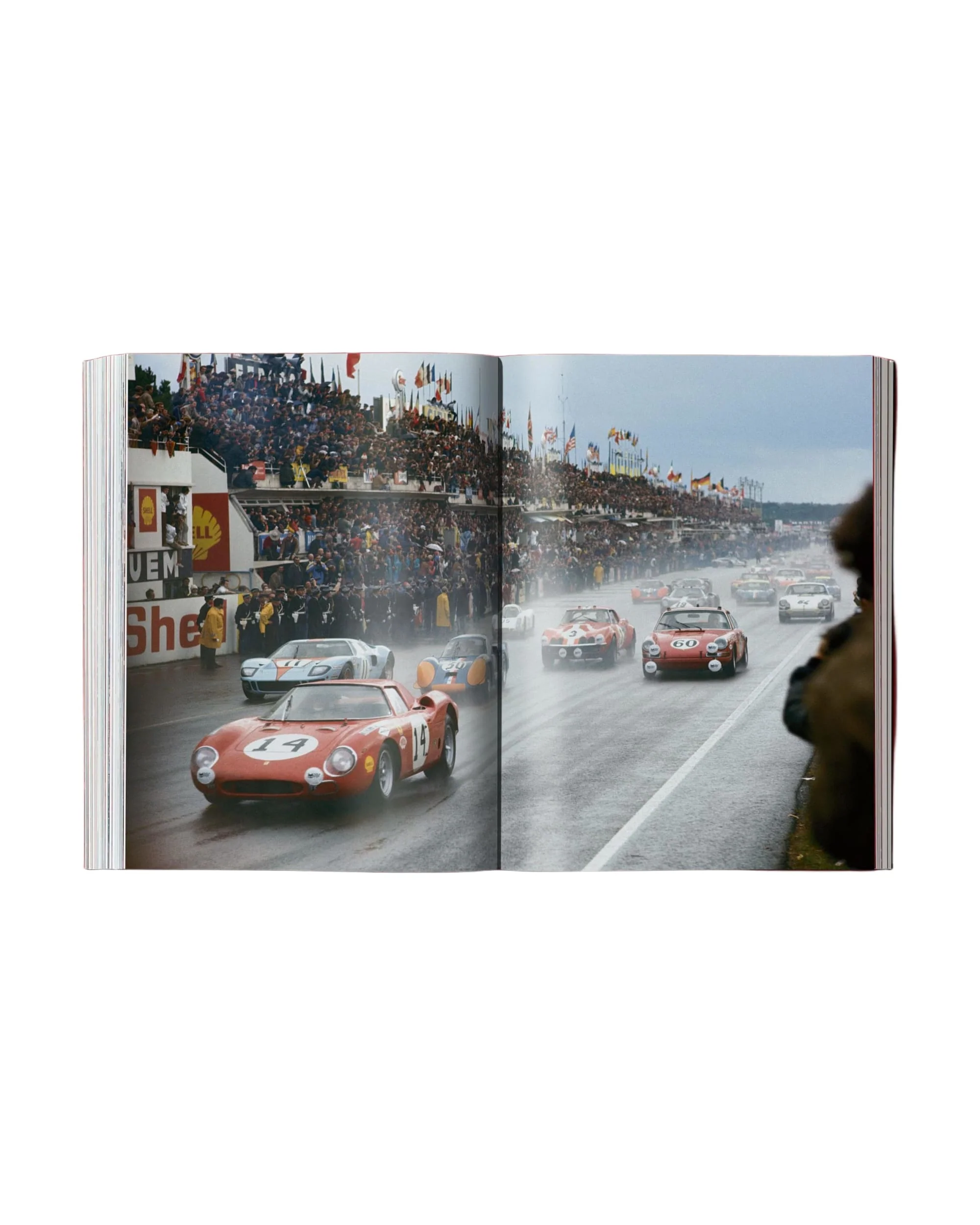 Ferrari (English) - Image 16