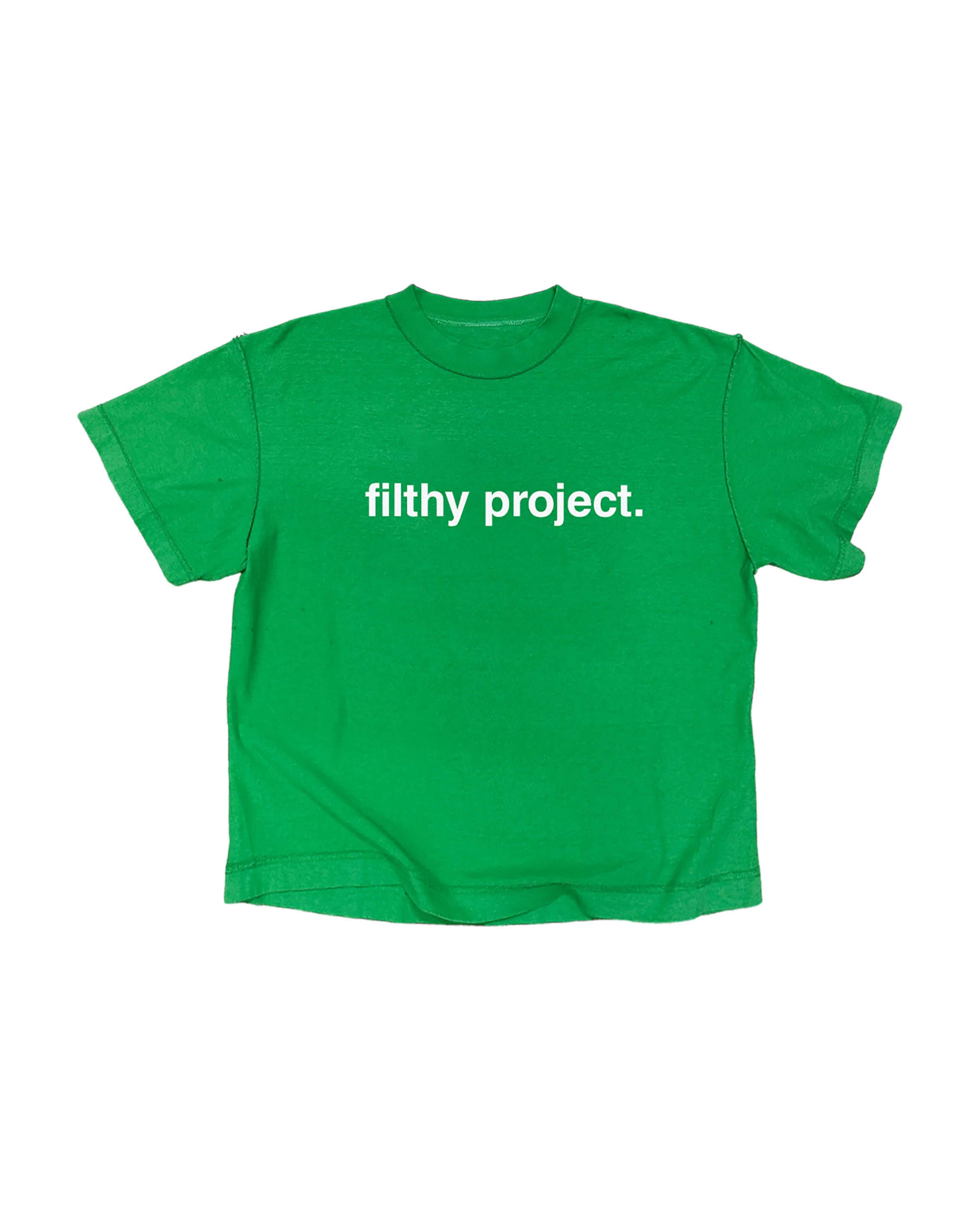 filthy® expert level graphic design tee green (boxy)