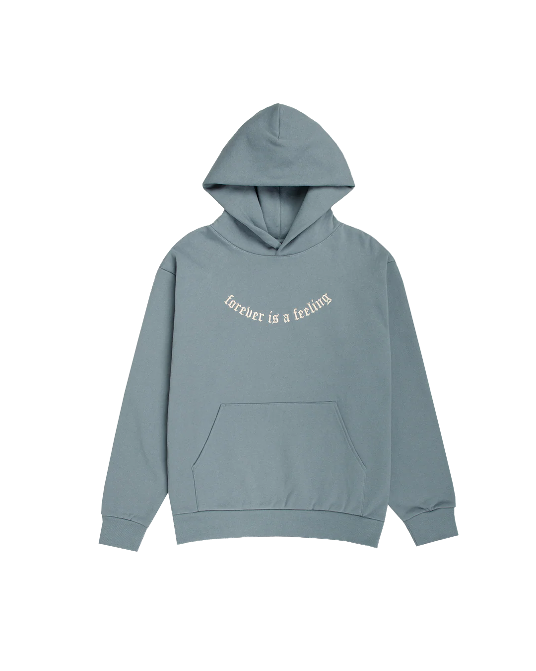 Forever is a Feeling Embroidered Hoodie