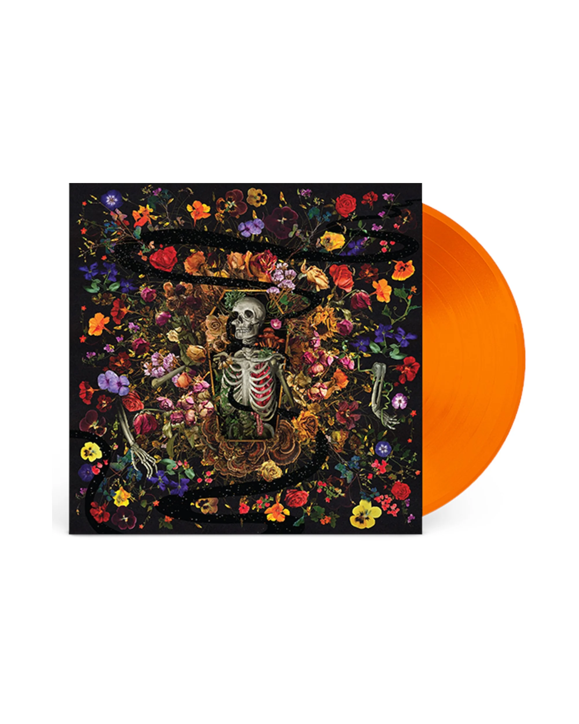 Half Life Orange Crush LP
