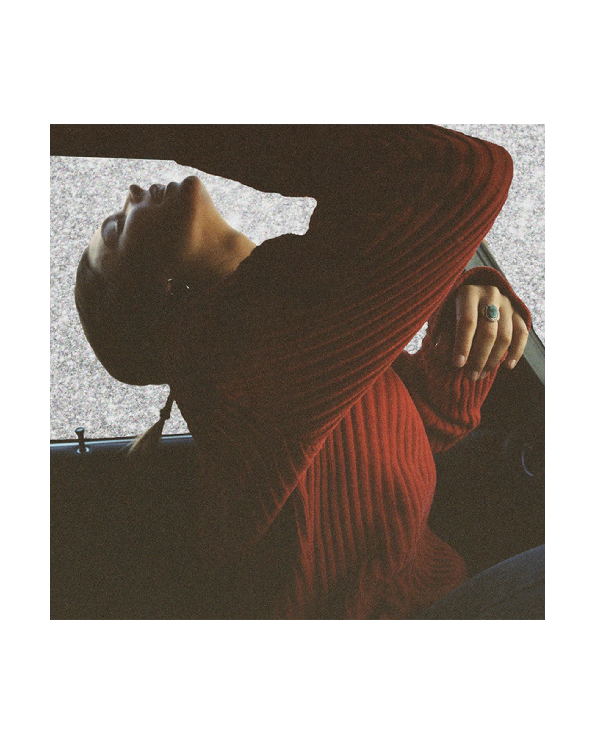 Heard It In A Past Life 1LP