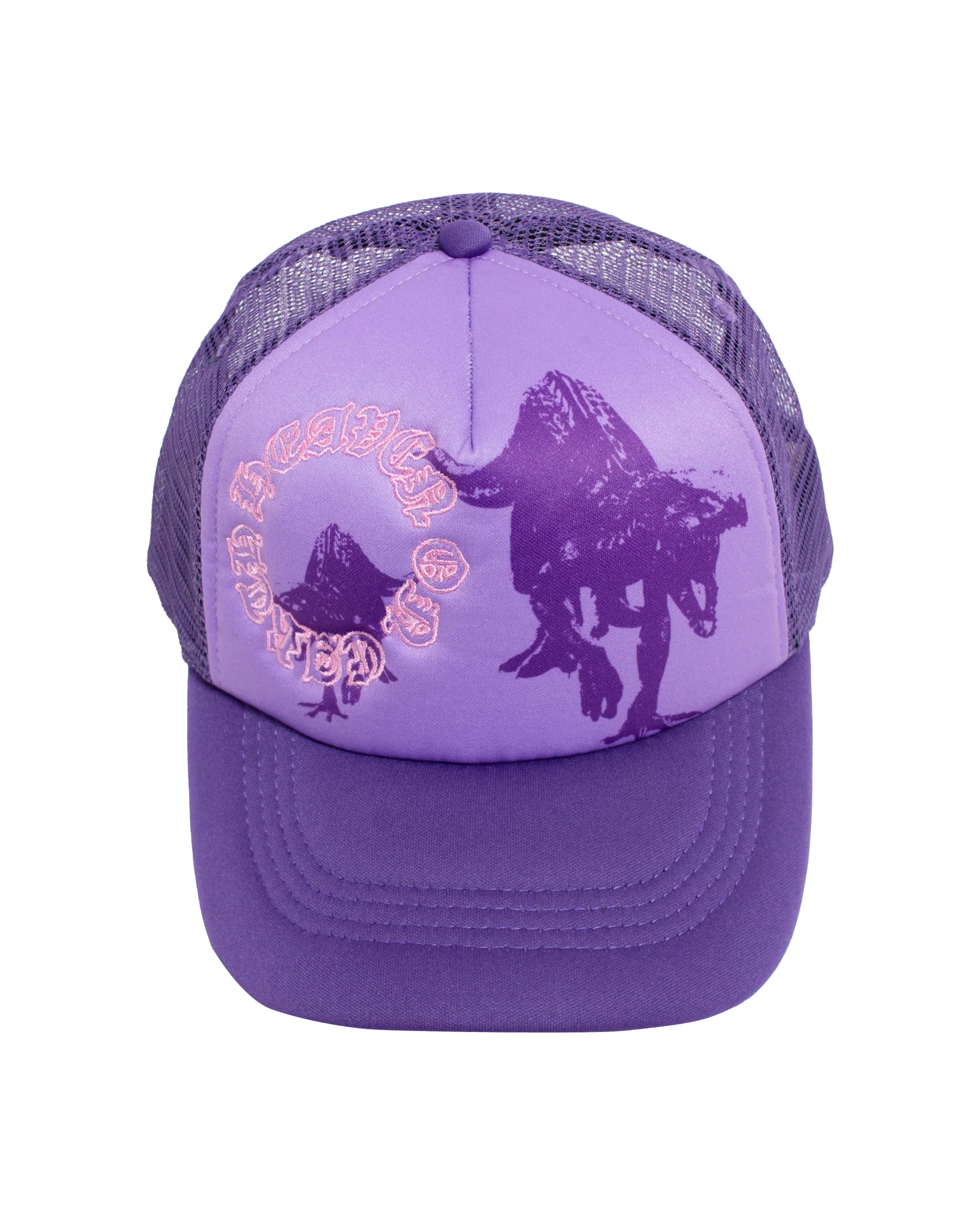 Heaven On Earth The Raptors Hat