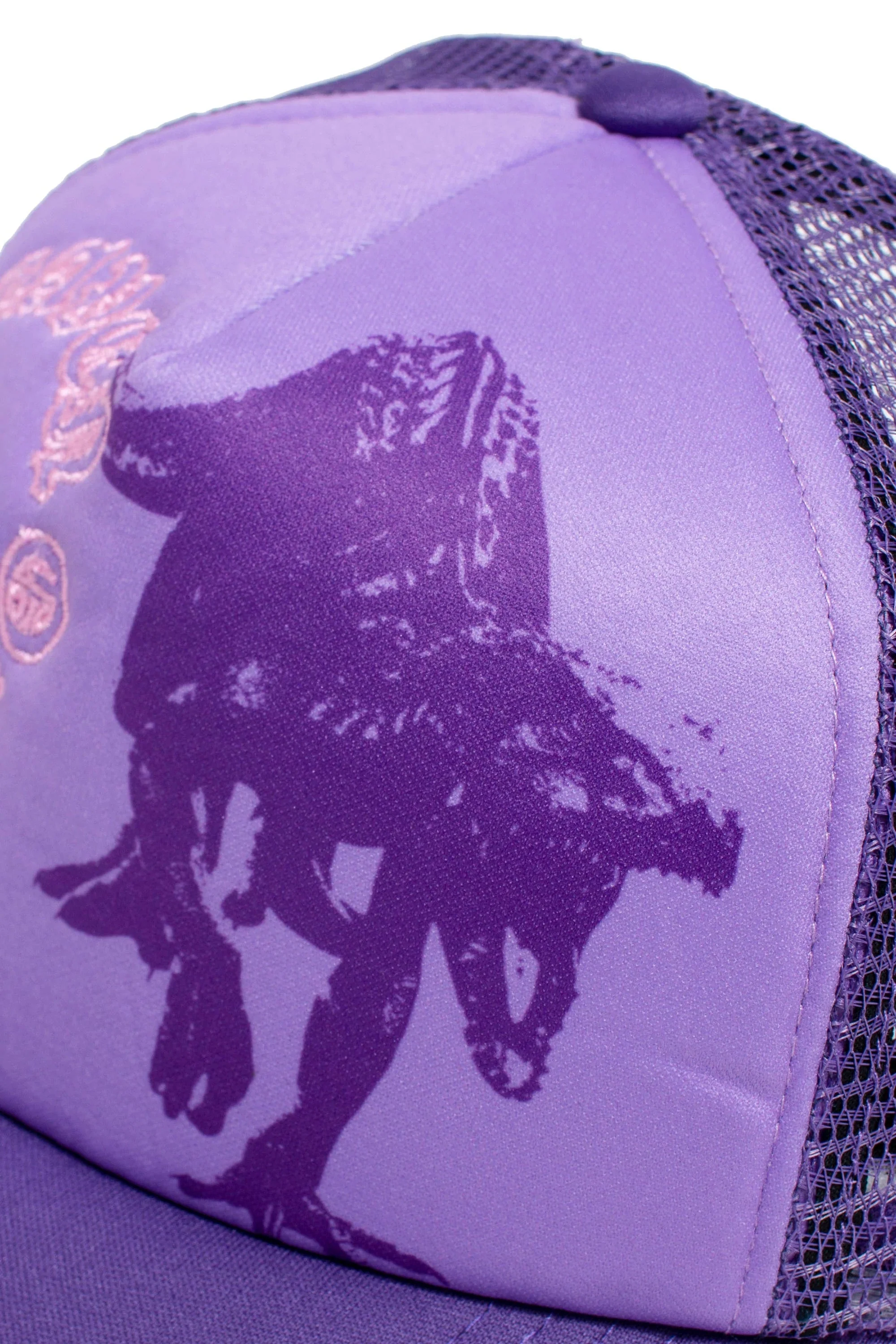 Heaven On Earth The Raptors Hat - Image 11