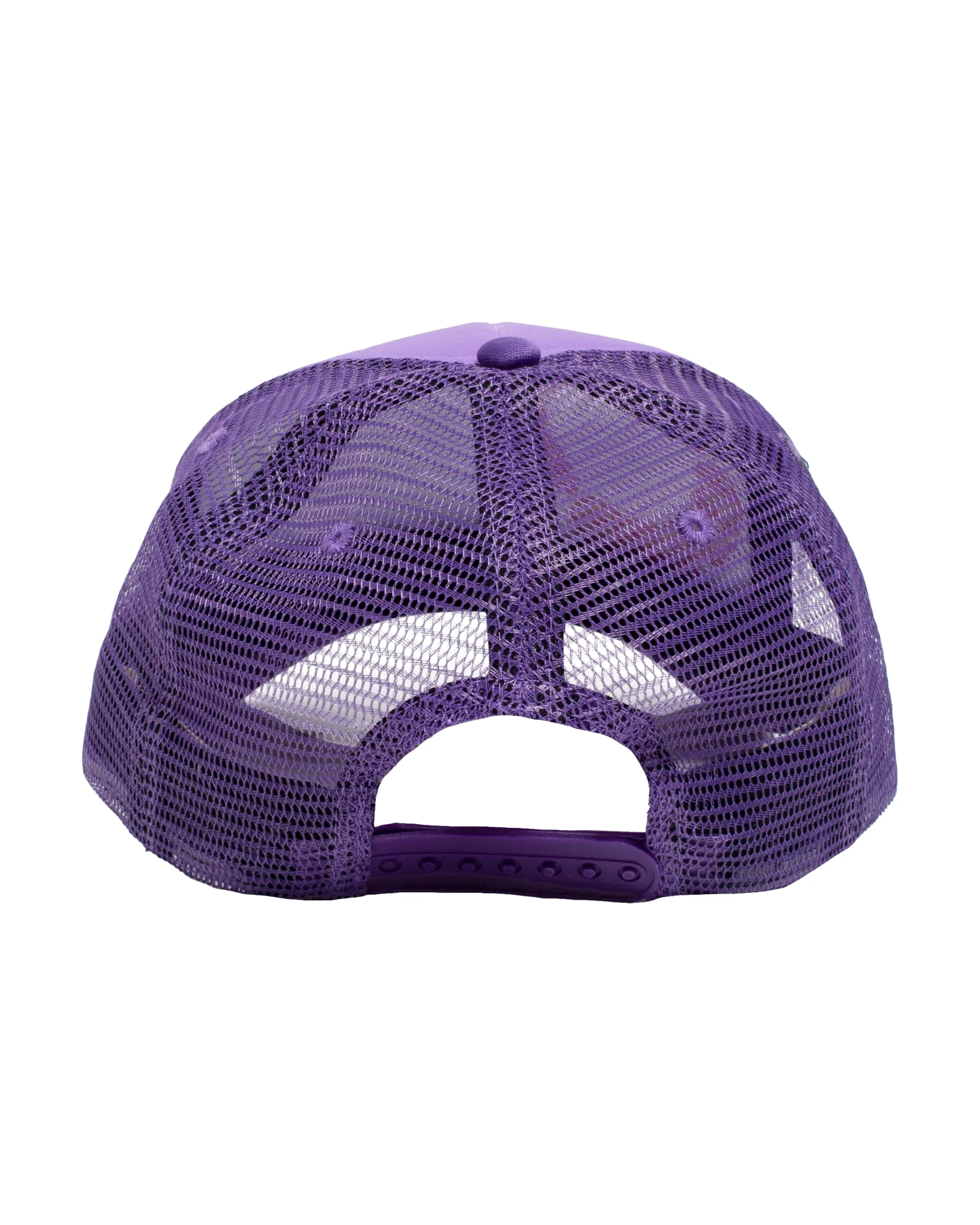 Heaven On Earth The Raptors Hat - Image 2