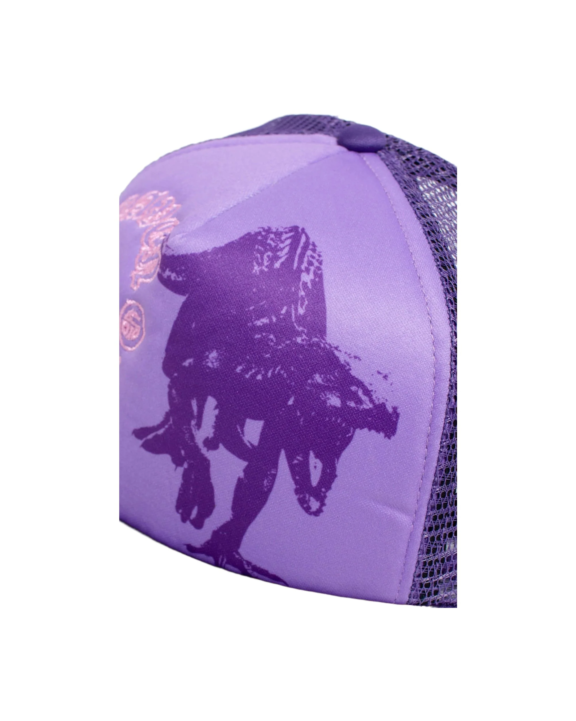 Heaven On Earth The Raptors Hat - Image 4
