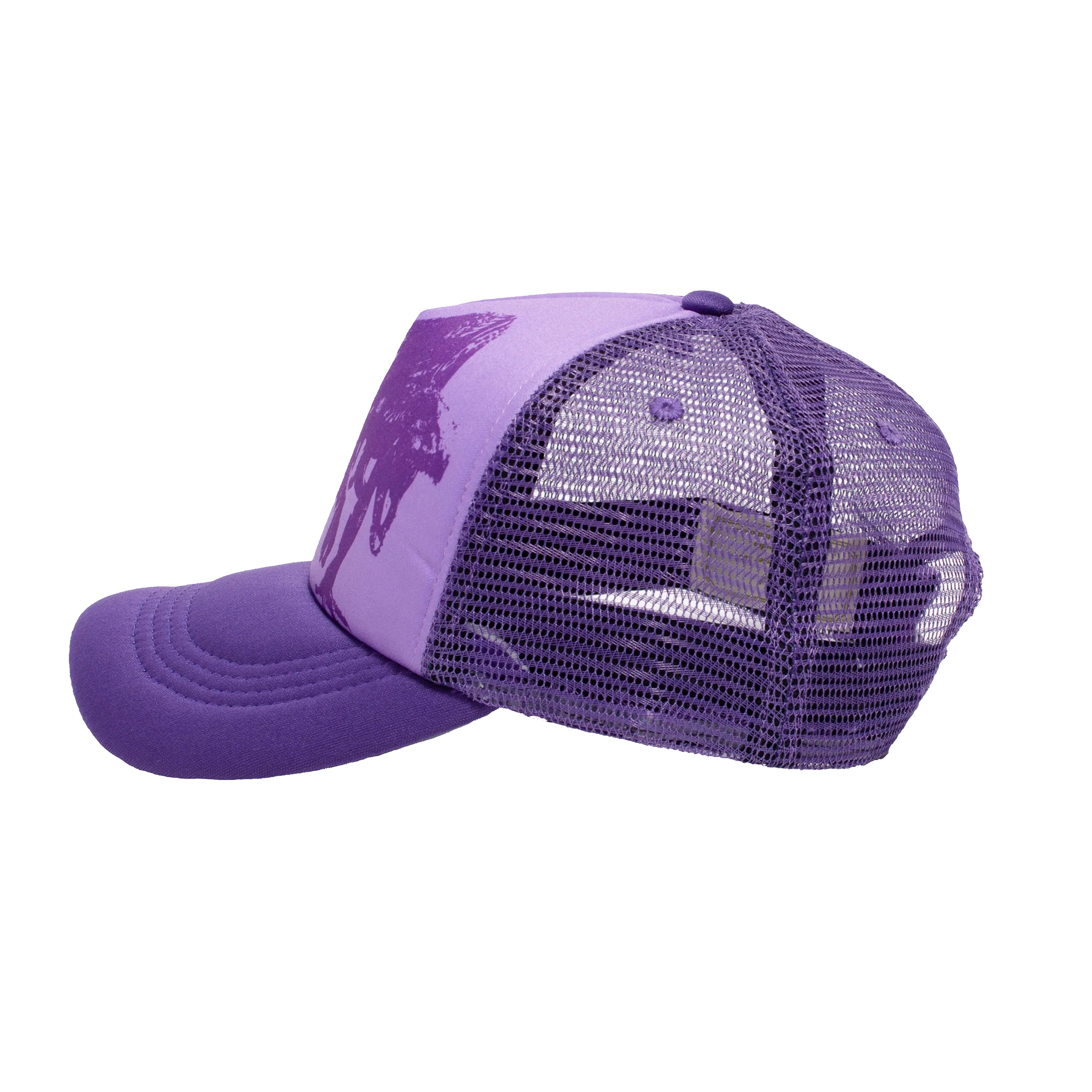Heaven On Earth The Raptors Hat - Image 8