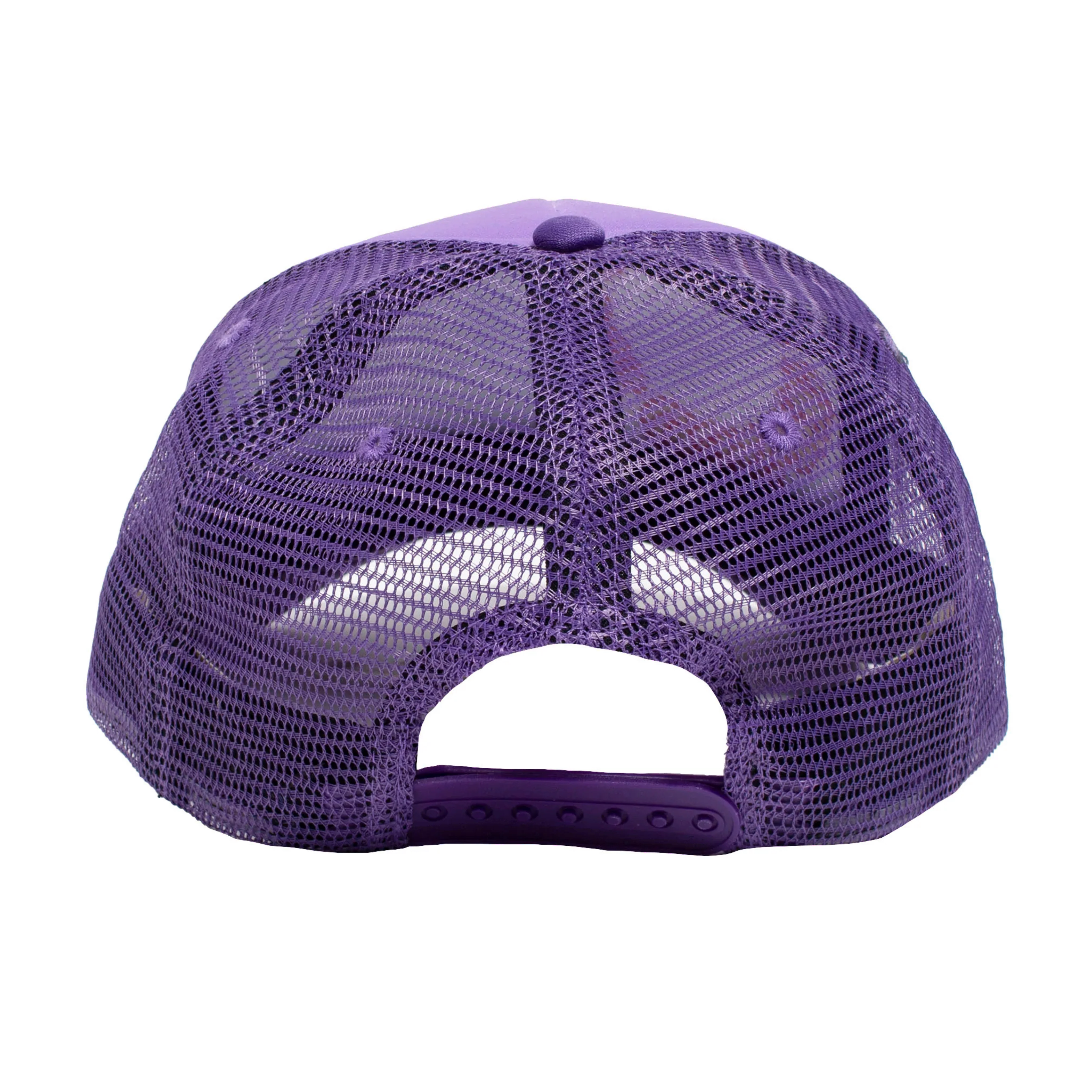 Heaven On Earth The Raptors Hat - Image 9