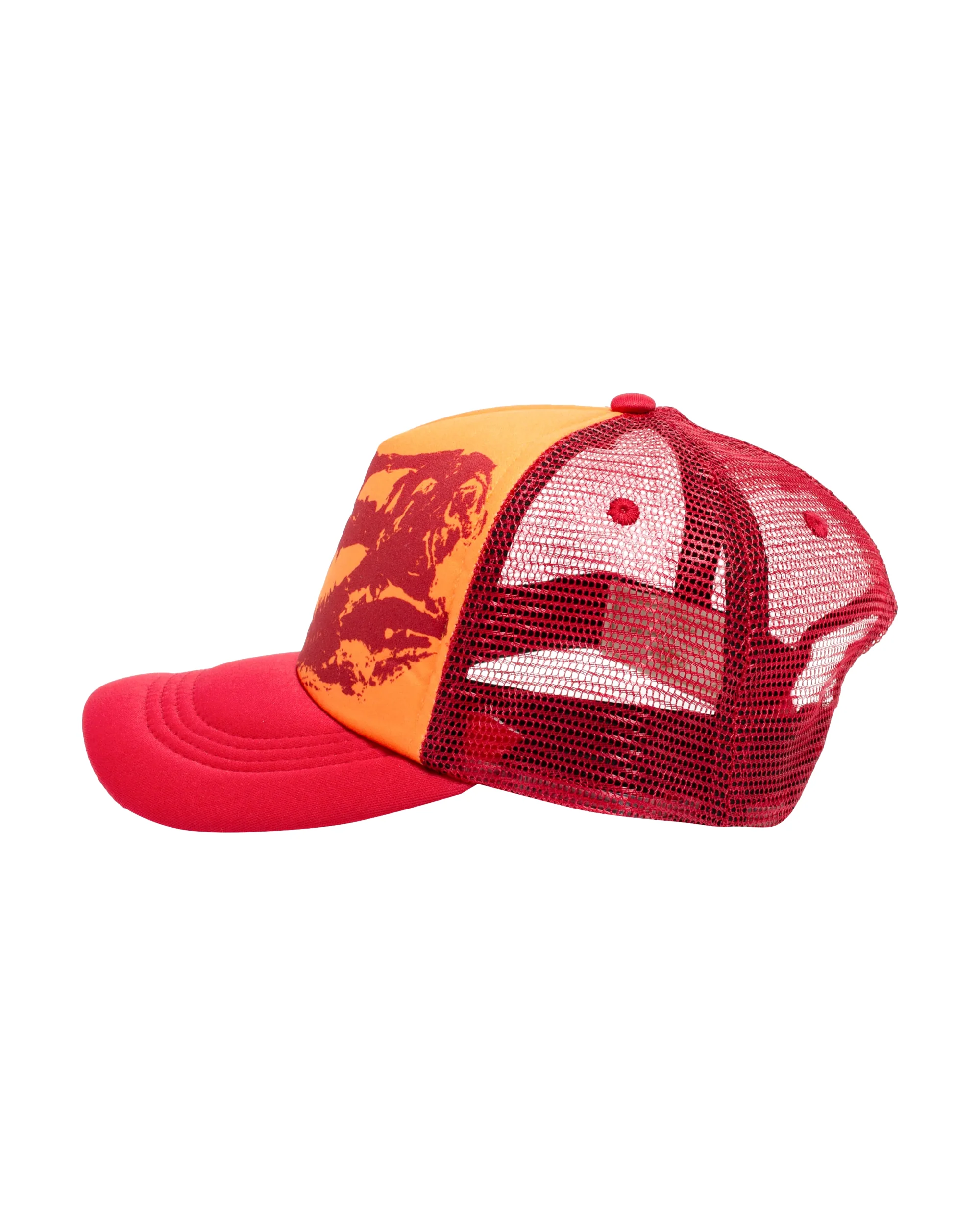 Heaven On Earth The Rex Skull Hat - Image 2