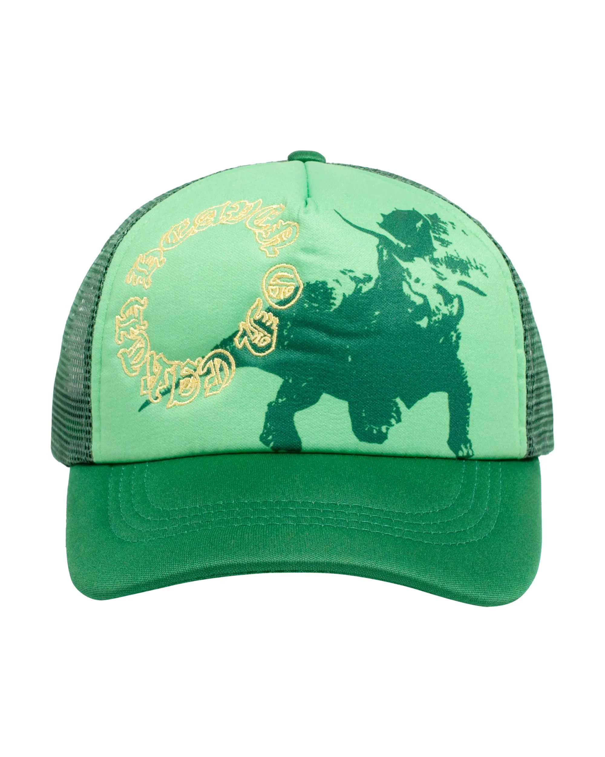 Heaven On Earth The Triceratops Hat