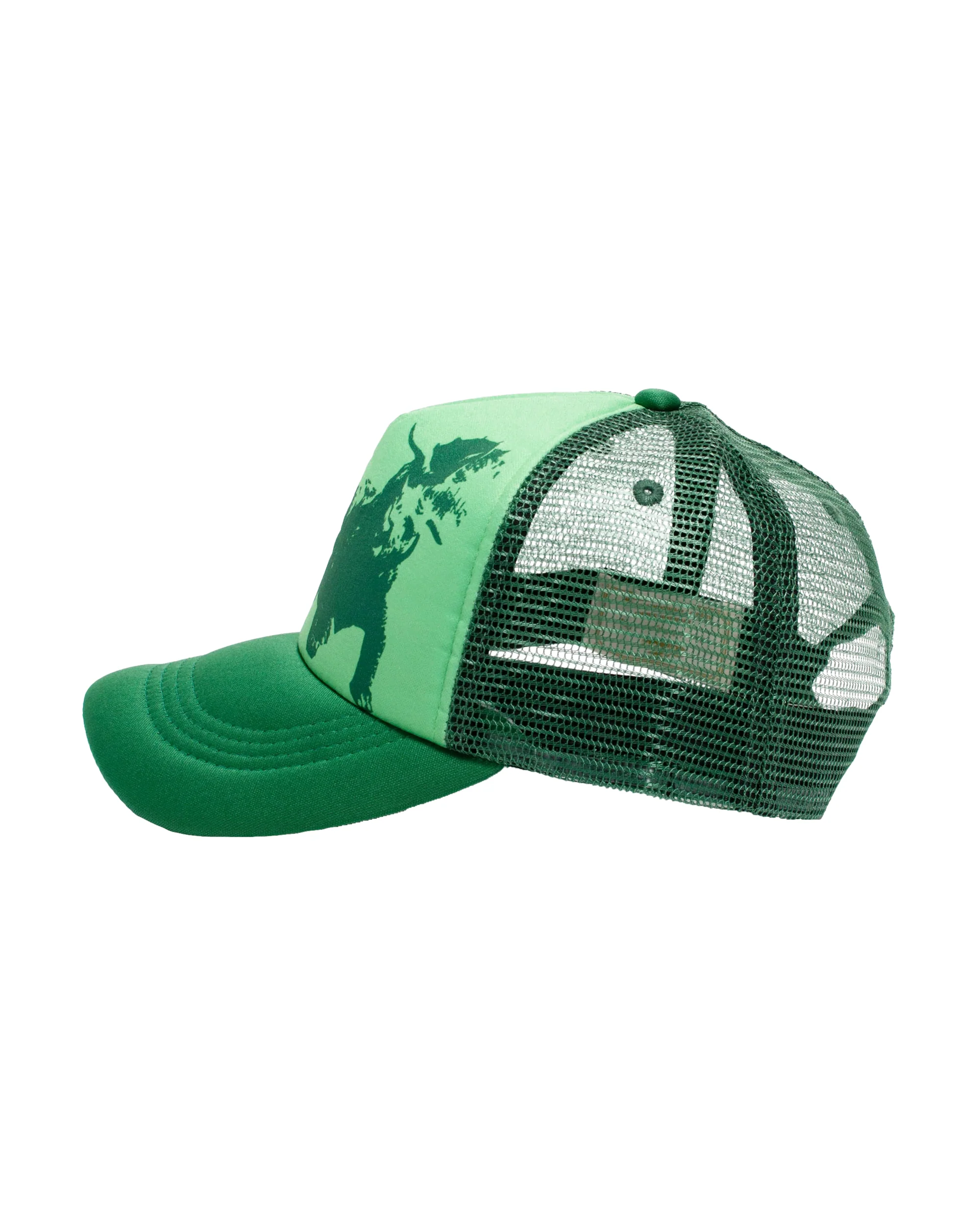 Heaven On Earth The Triceratops Hat - Image 2