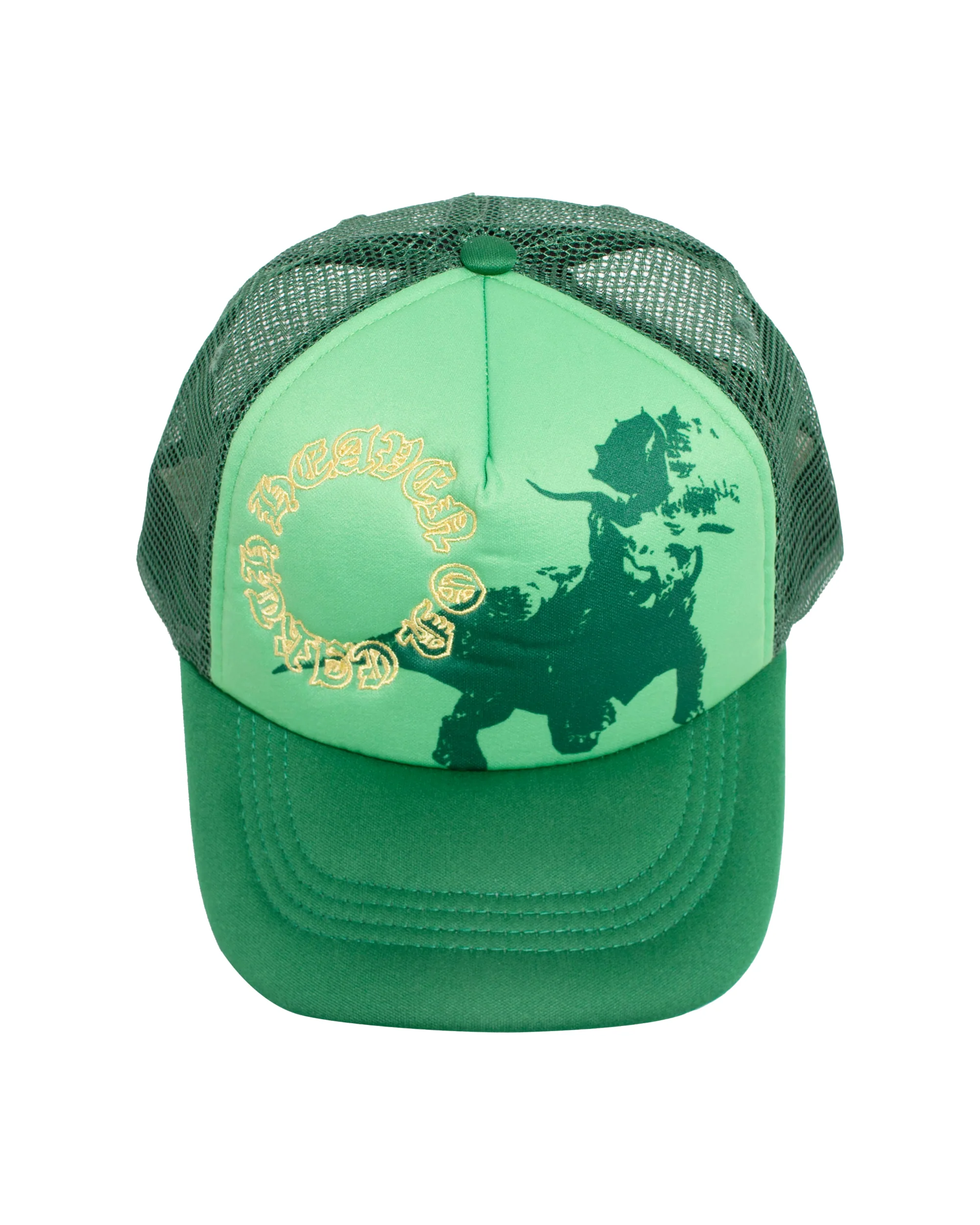 Heaven On Earth The Triceratops Hat - Image 4