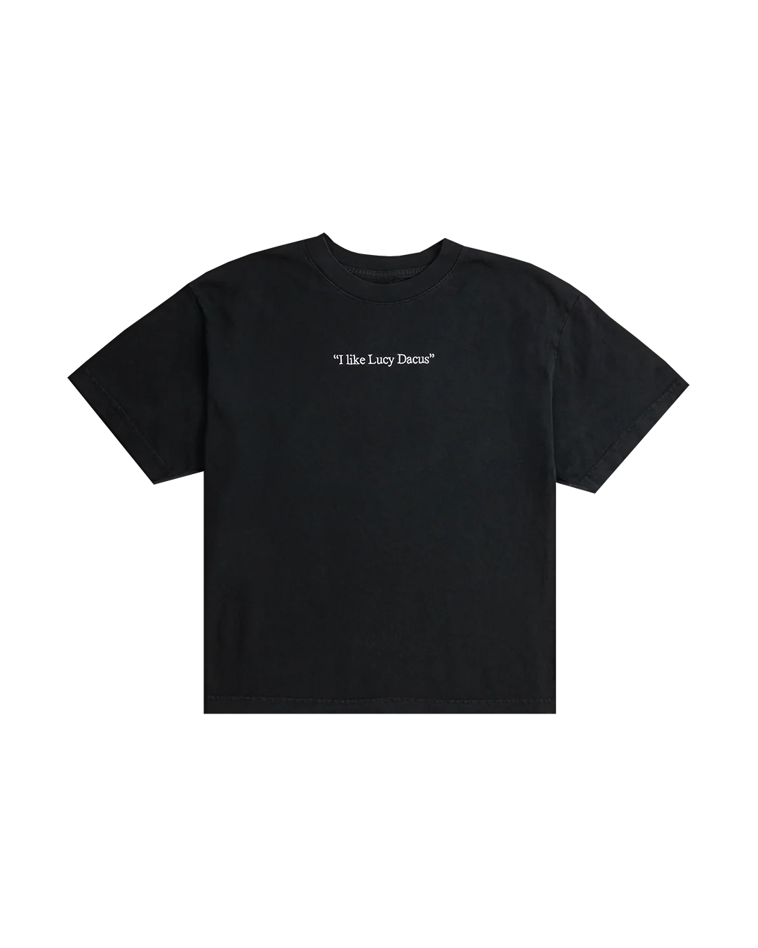 I Like Lucy Dacus x Everybody.World Slate Tee