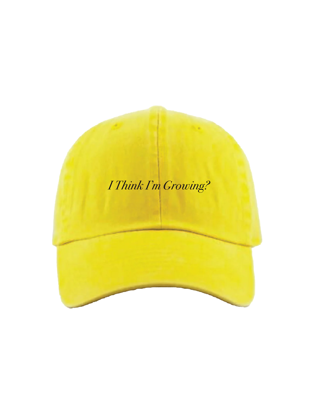 I Think I'm Growing Dad Hat