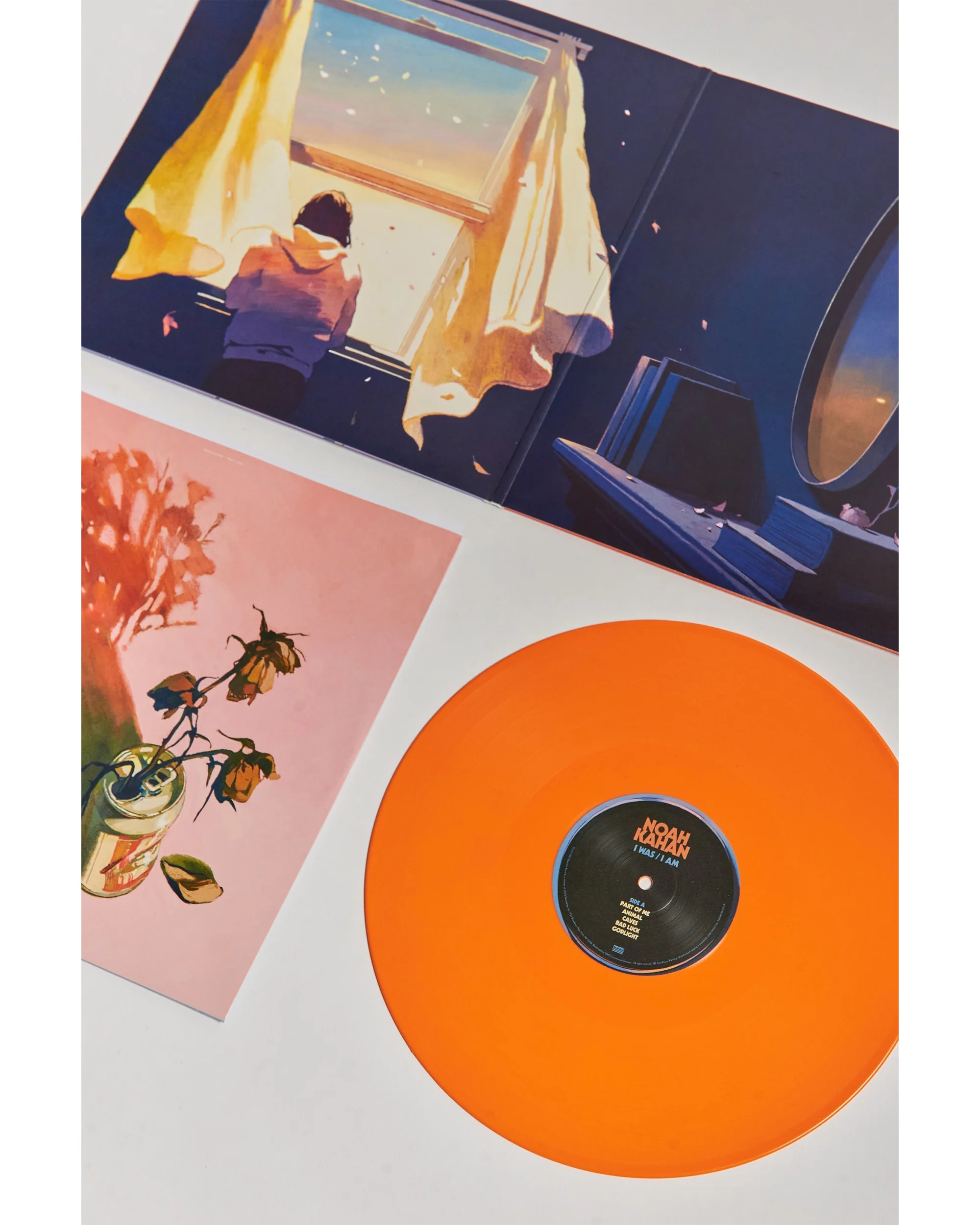 I Was / I AM Vinyl - Image 8