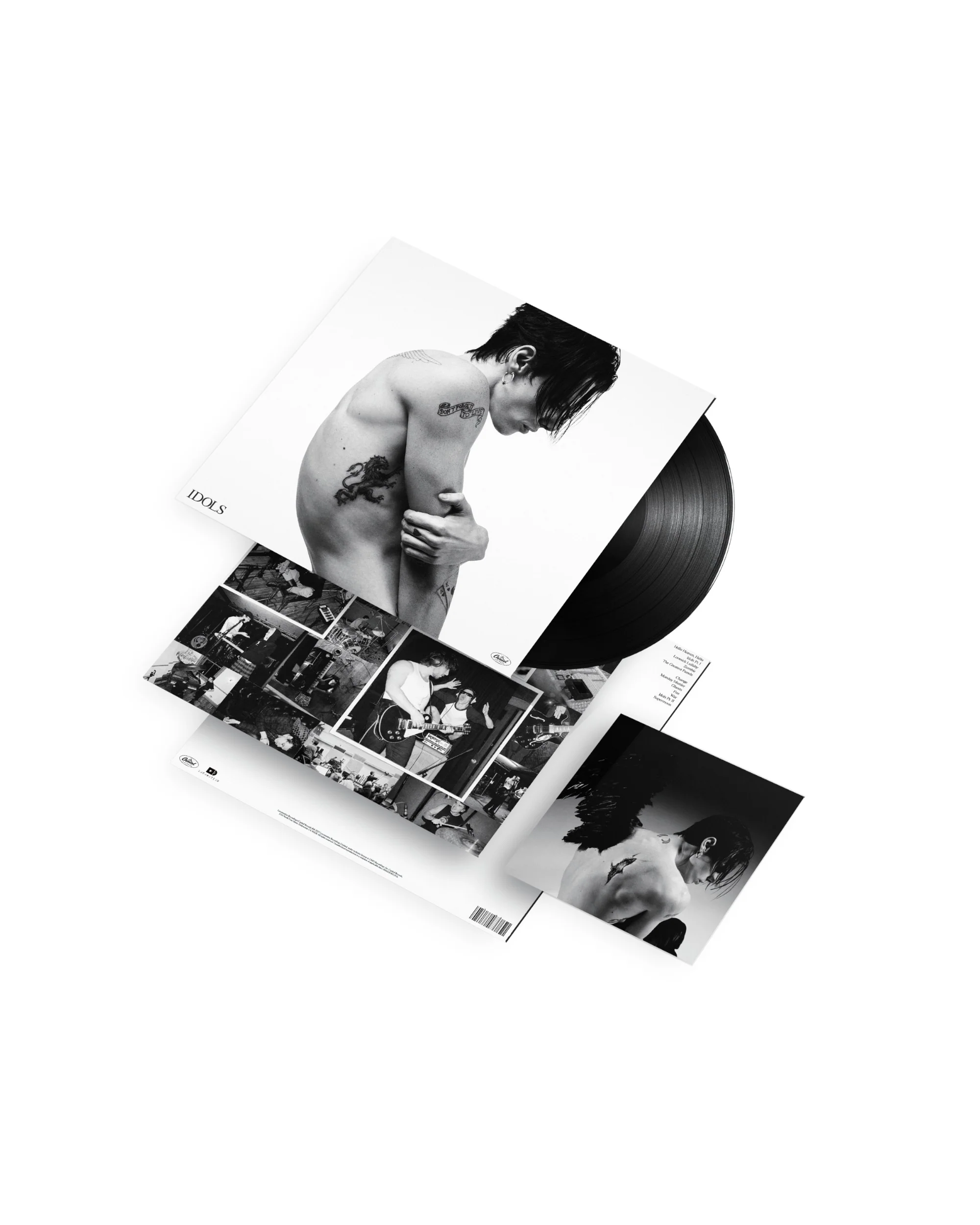 Idols Vinyl - Image 2