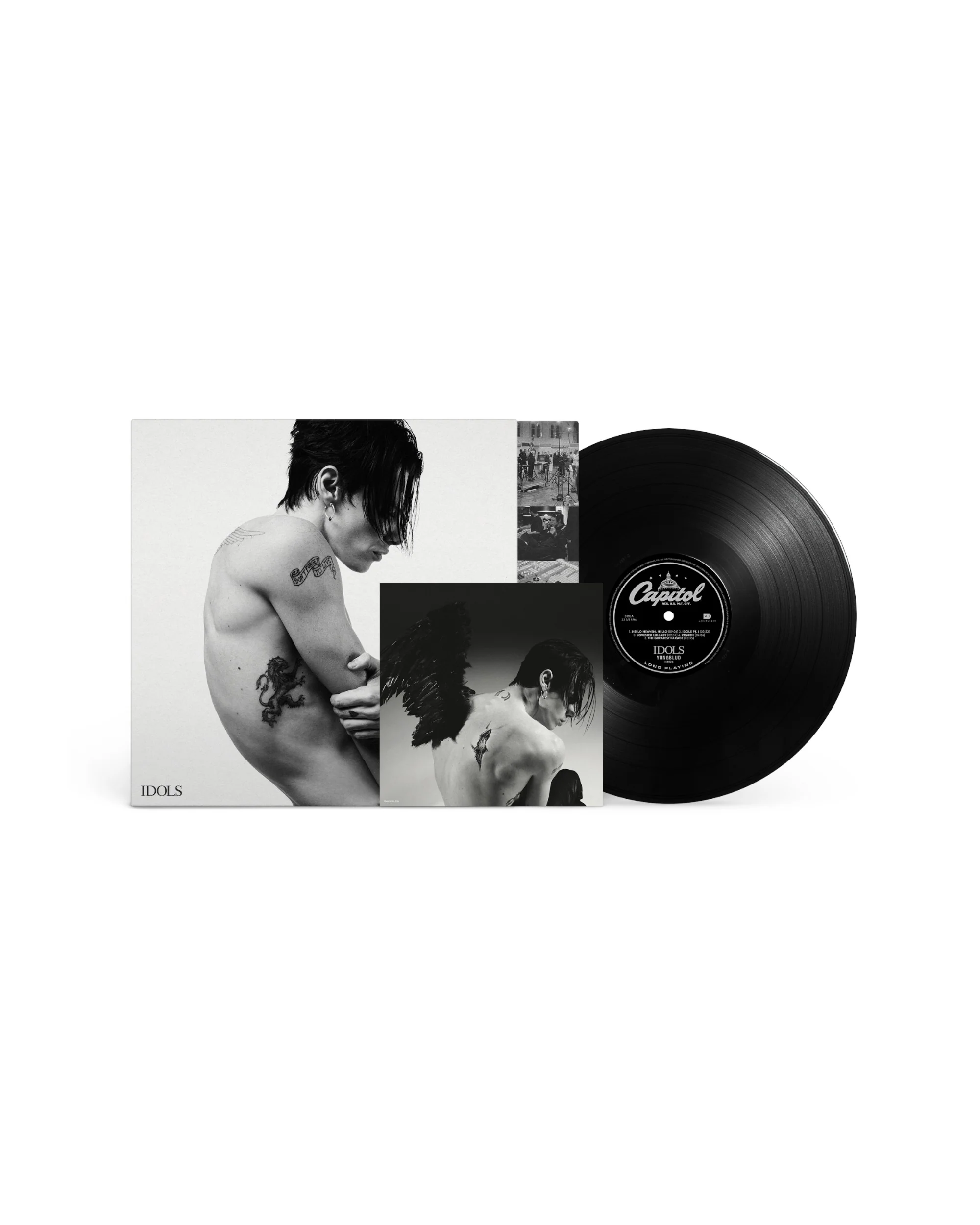 Idols Vinyl - Image 5