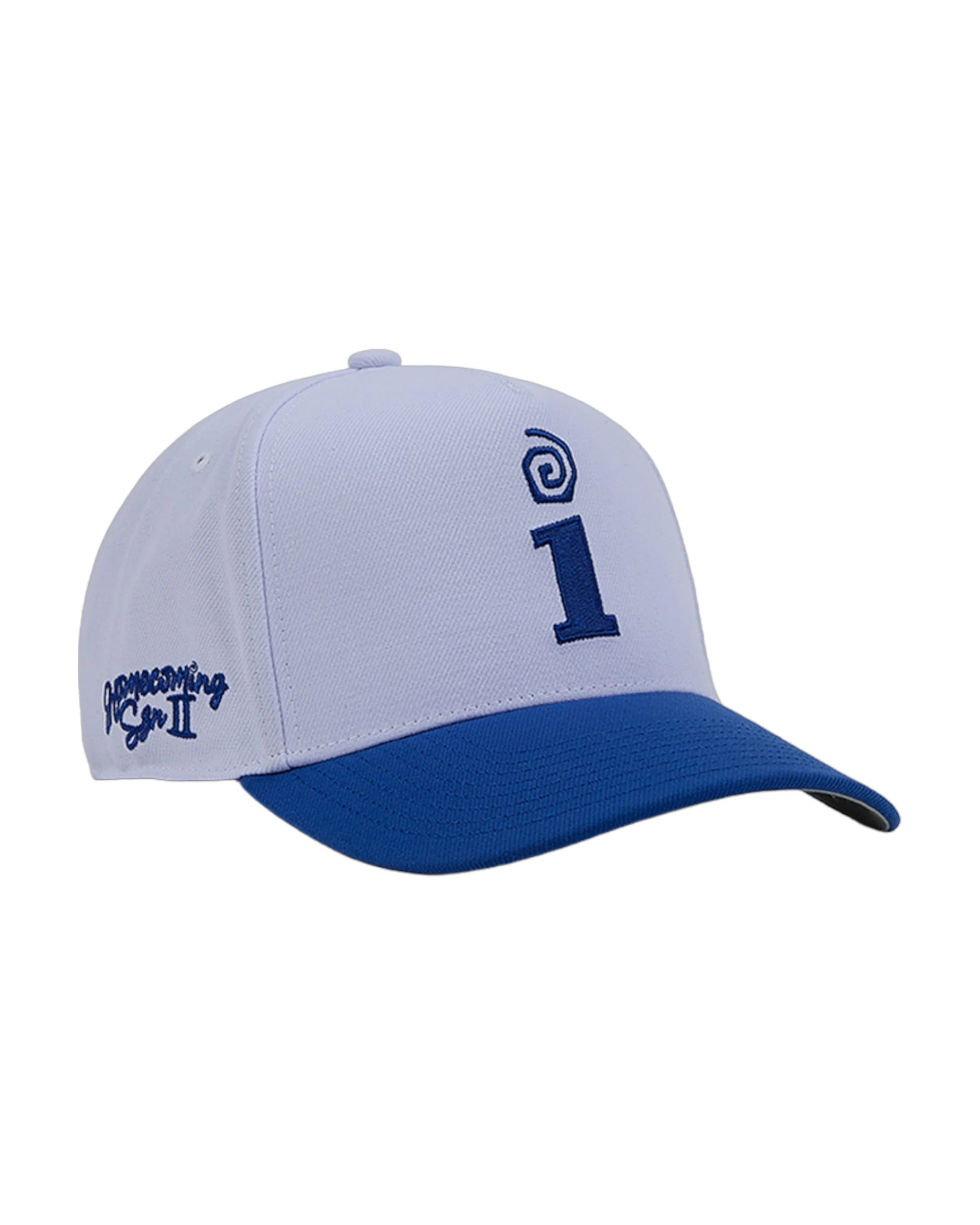 Interscope Blue University Snapback Hat