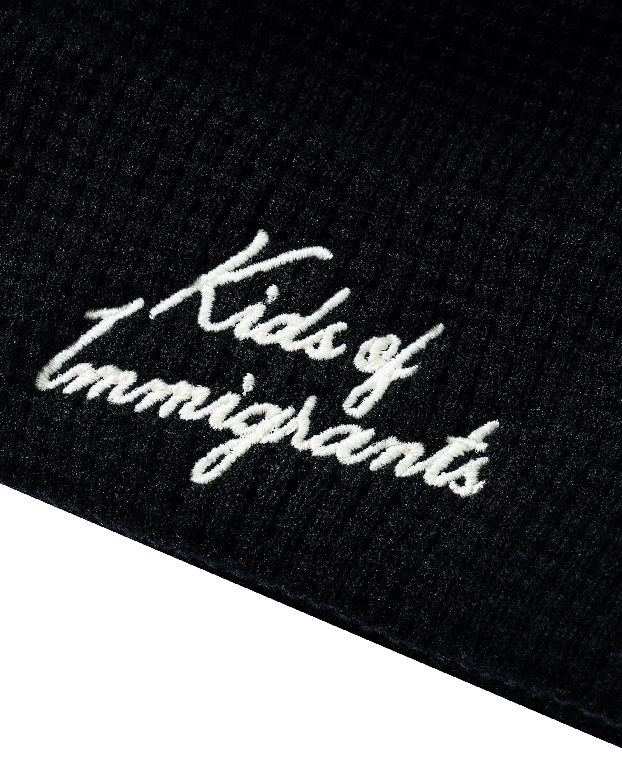 Kids Of Immigrants Script Beanie - Image 3