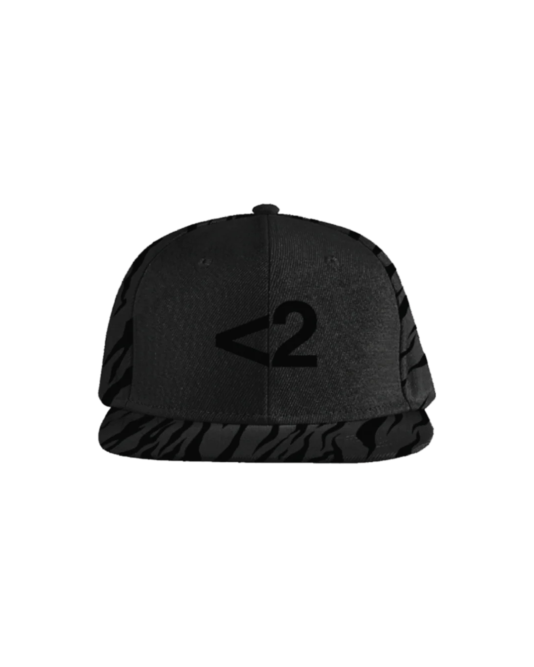 Logo Hat
