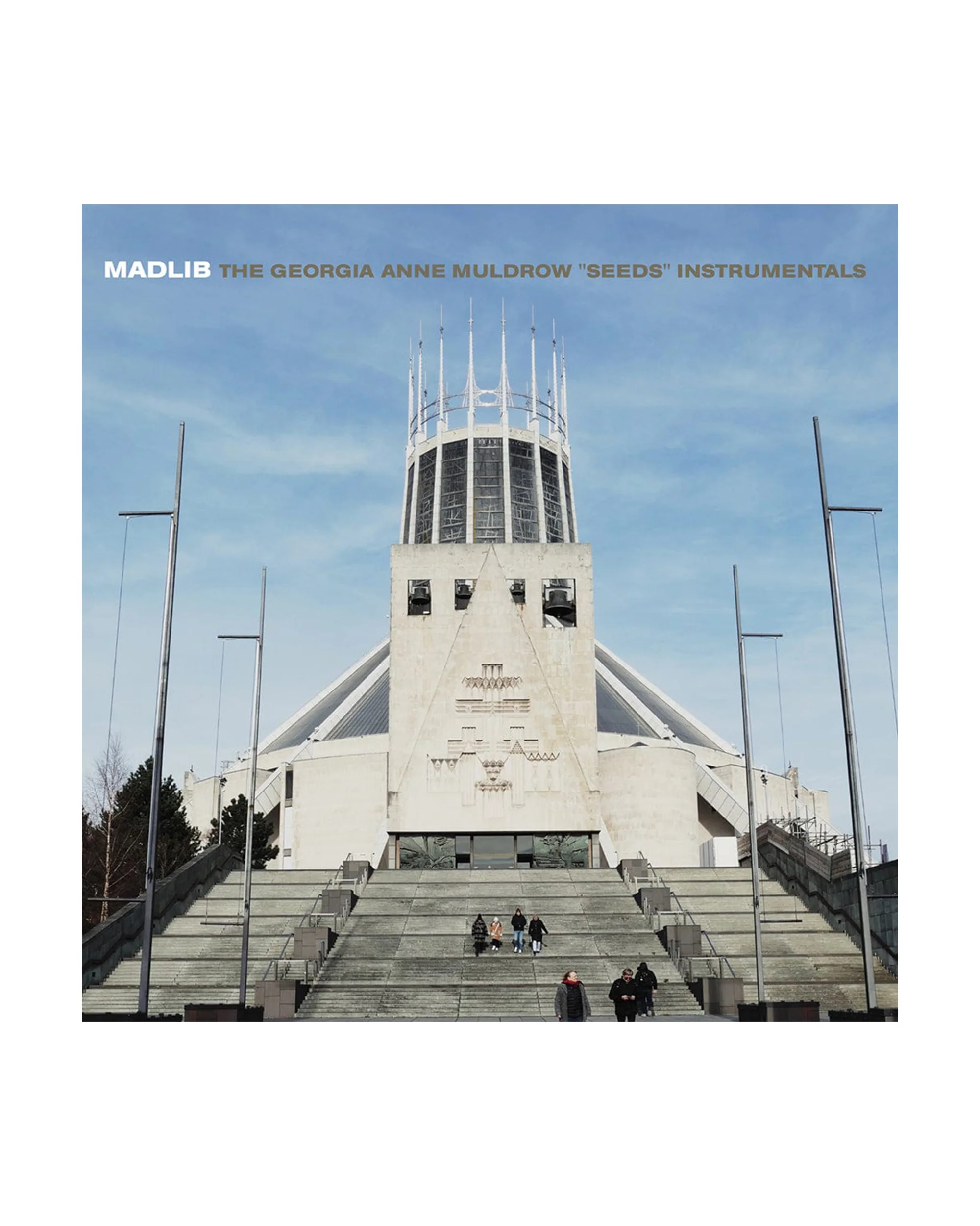 Madlib / Georgia Anne Muldrow - Seeds (Instrumentals) (LP - Clear Vinyl - Fat Beats Exclusive) - Image 3