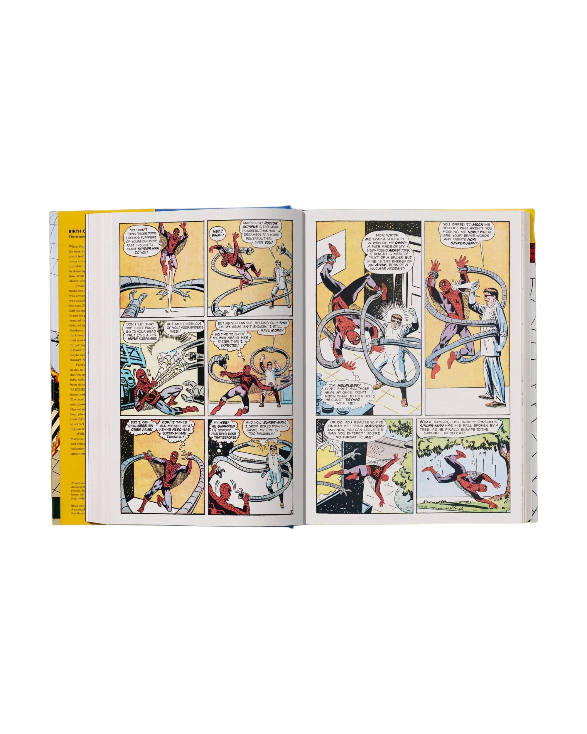 Marvel Comics Library. Spider-Man. 1962–1964 (English) - Image 13