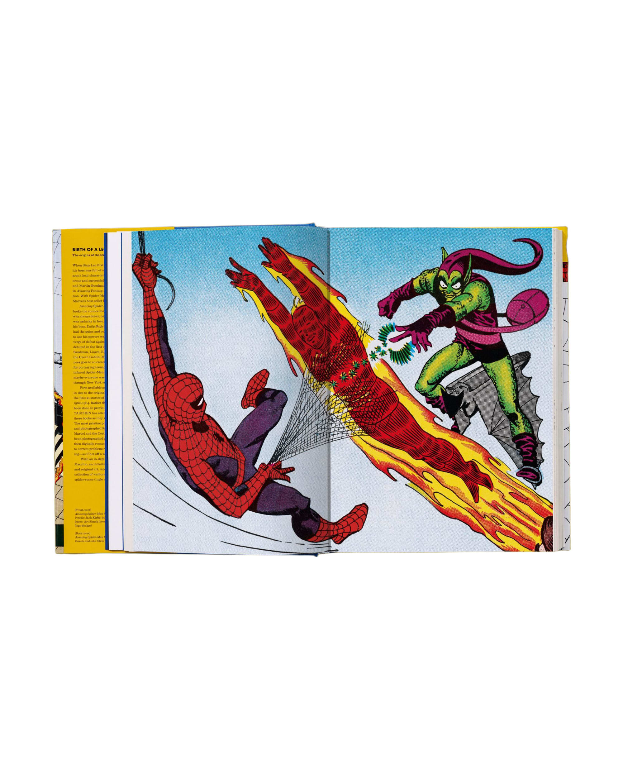 Marvel Comics Library. Spider-Man. 1962–1964 (English) - Image 4