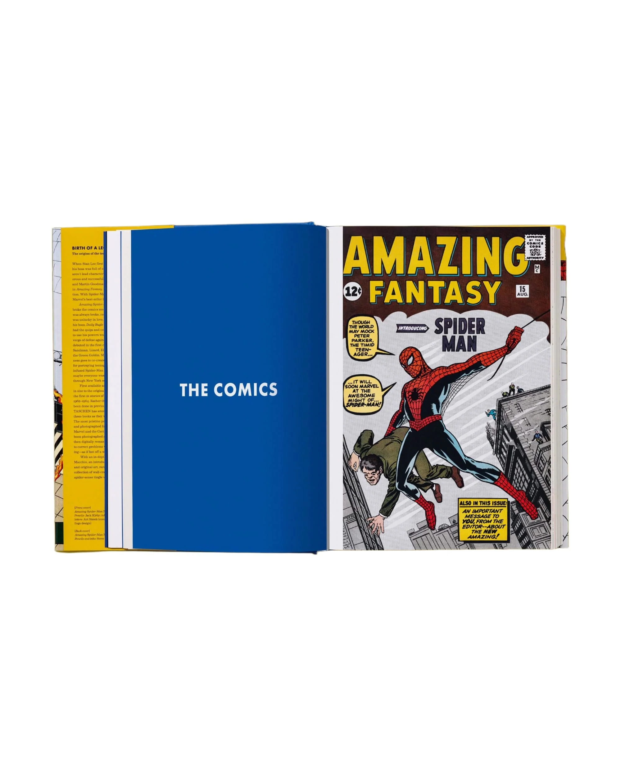 Marvel Comics Library. Spider-Man. 1962–1964 (English) - Image 5