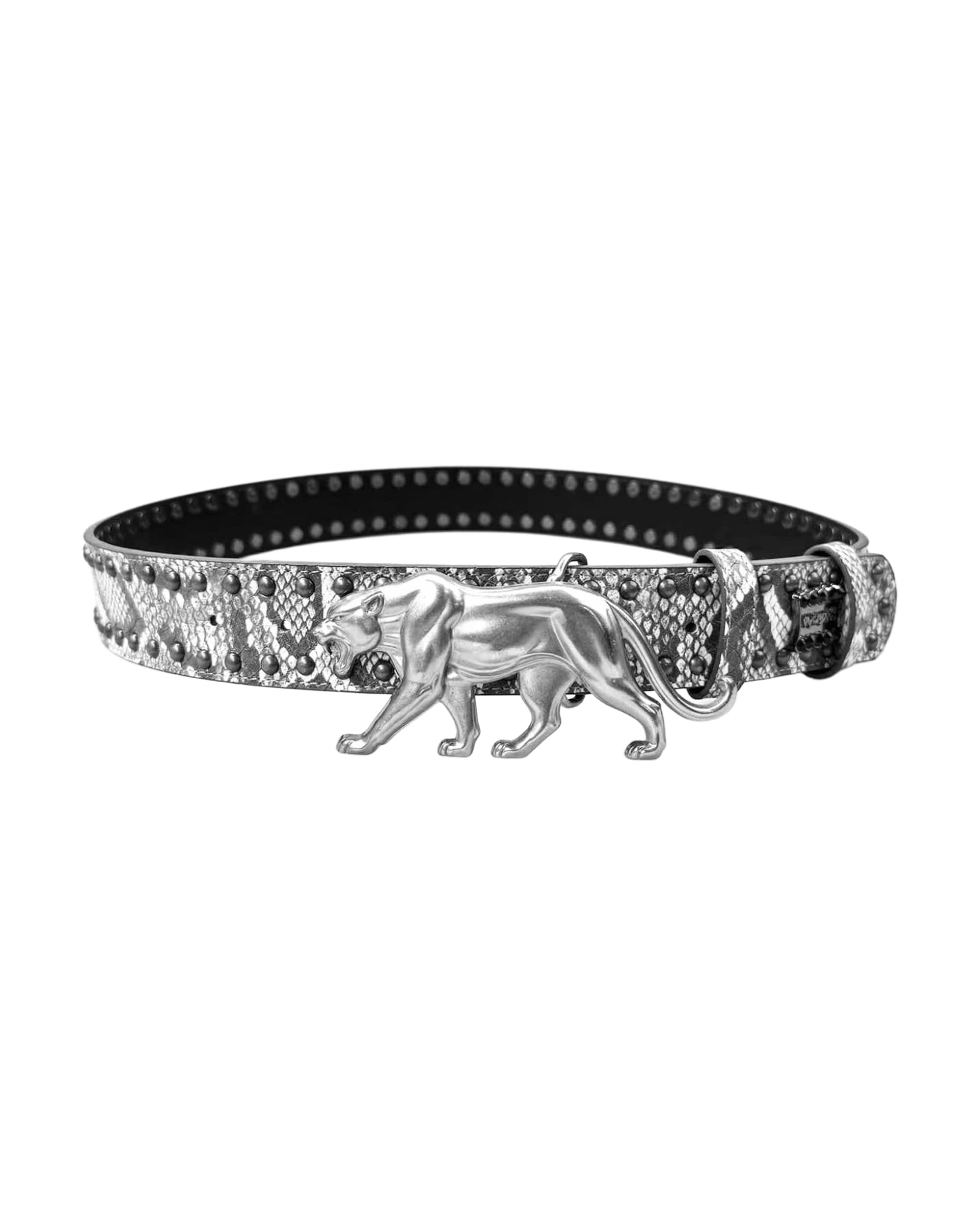 "PANTHER" BELT - ARCTIC STORM - Image 2