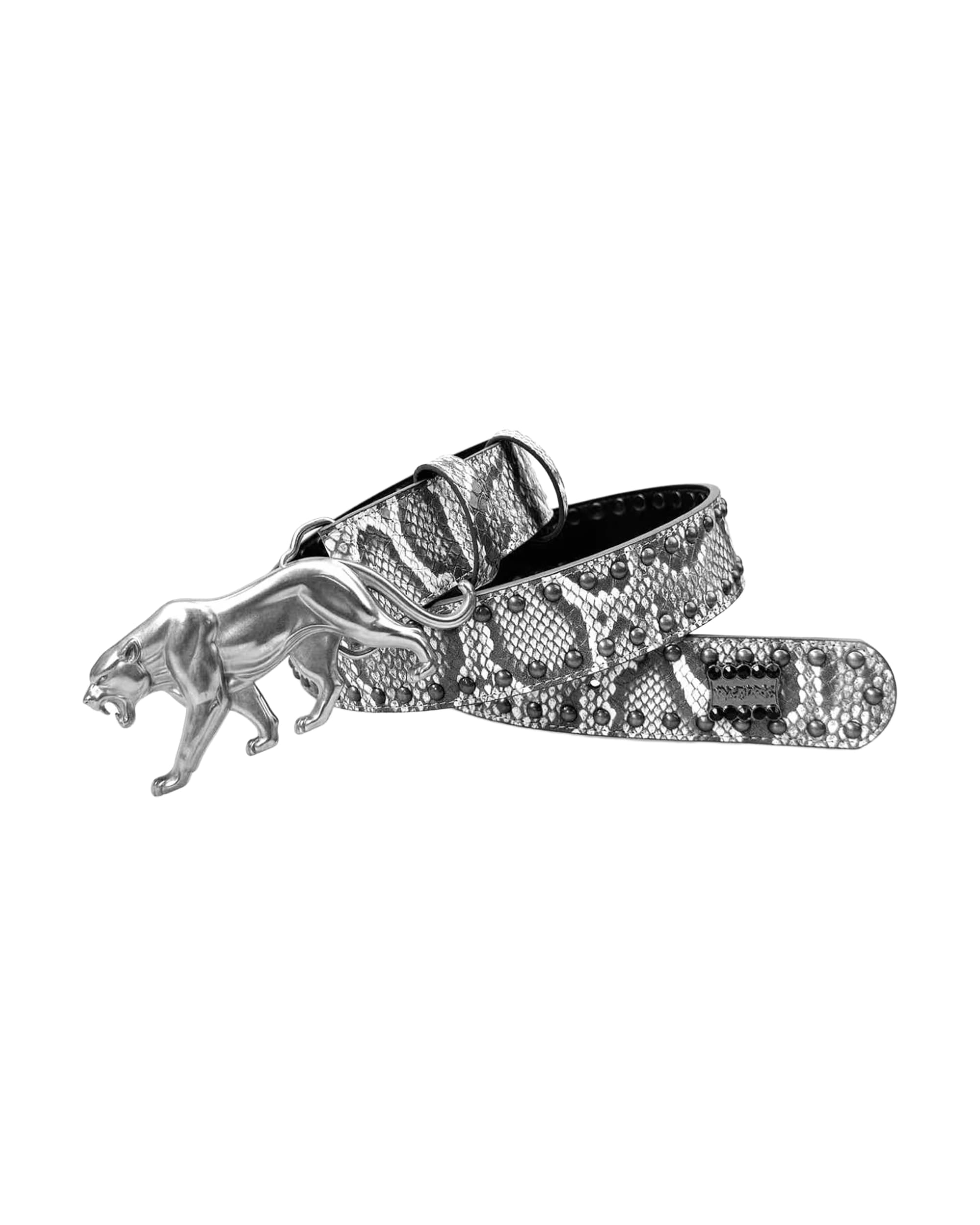"PANTHER" BELT - ARCTIC STORM - Image 3