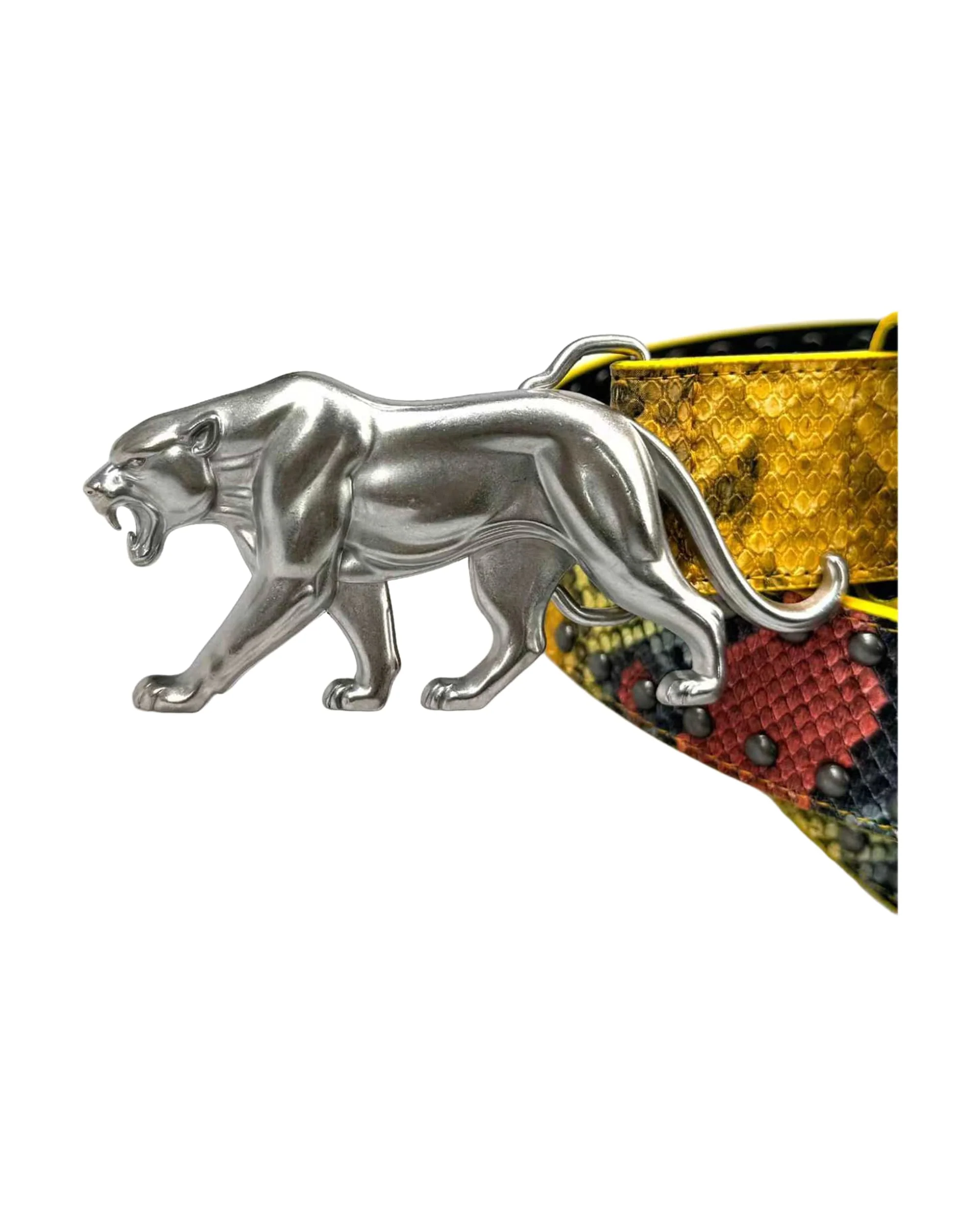 "PANTHER" BELT - DRAGONSKIN - Image 4