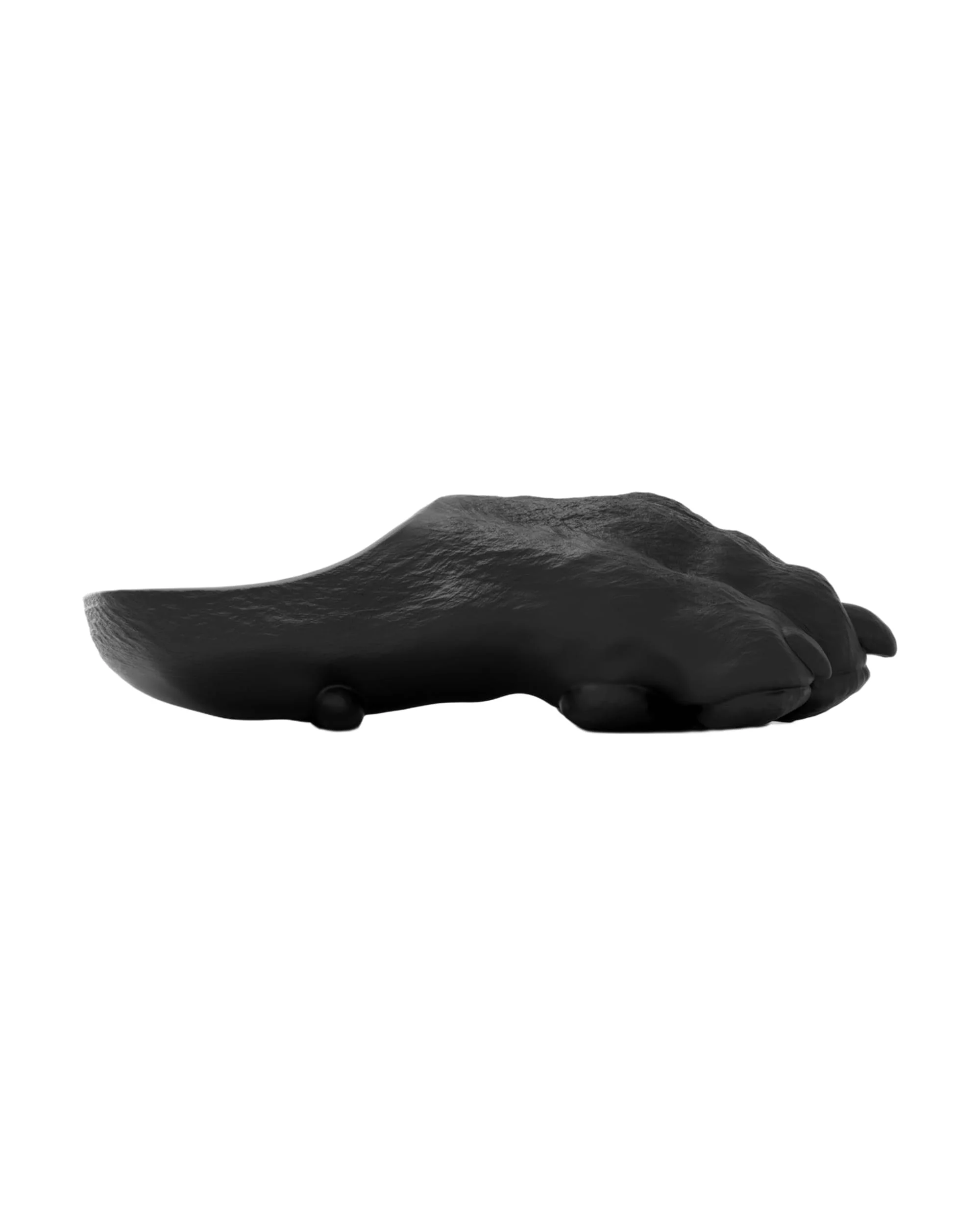 Panther Paws Slides