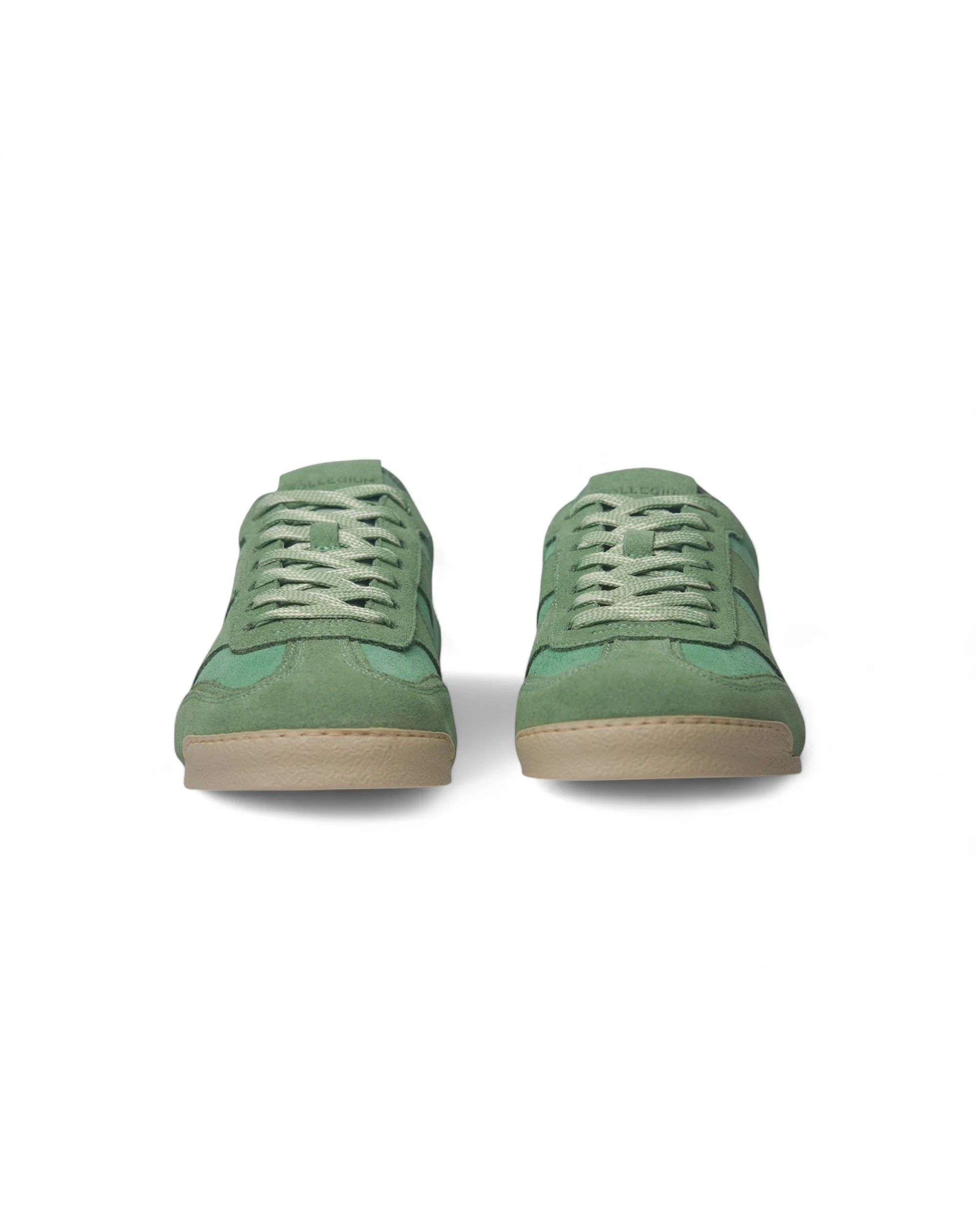 Pista - Pistachio - Image 4